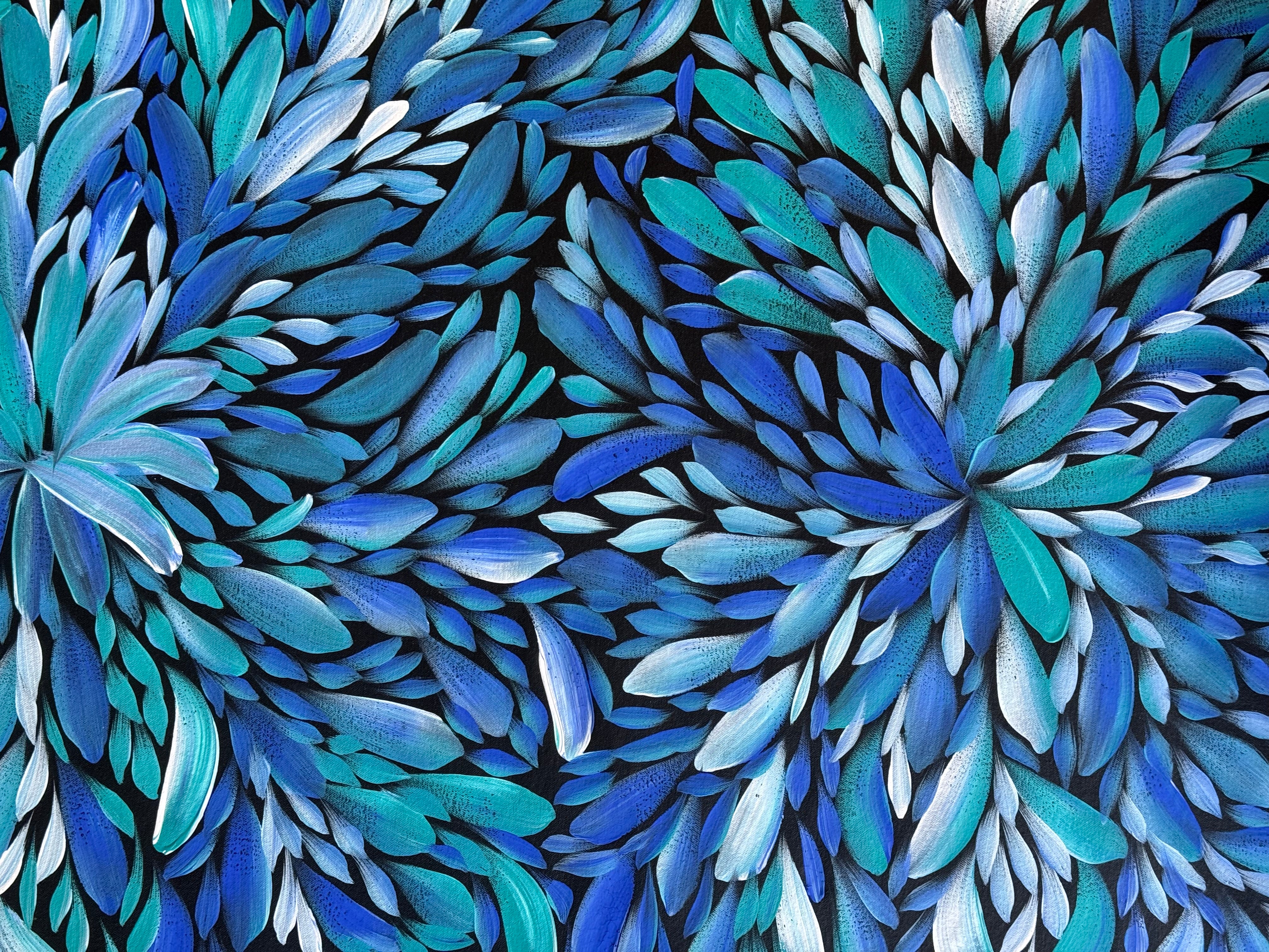 Louise Numina Napananka - Bush Medicine Leaves .09-3