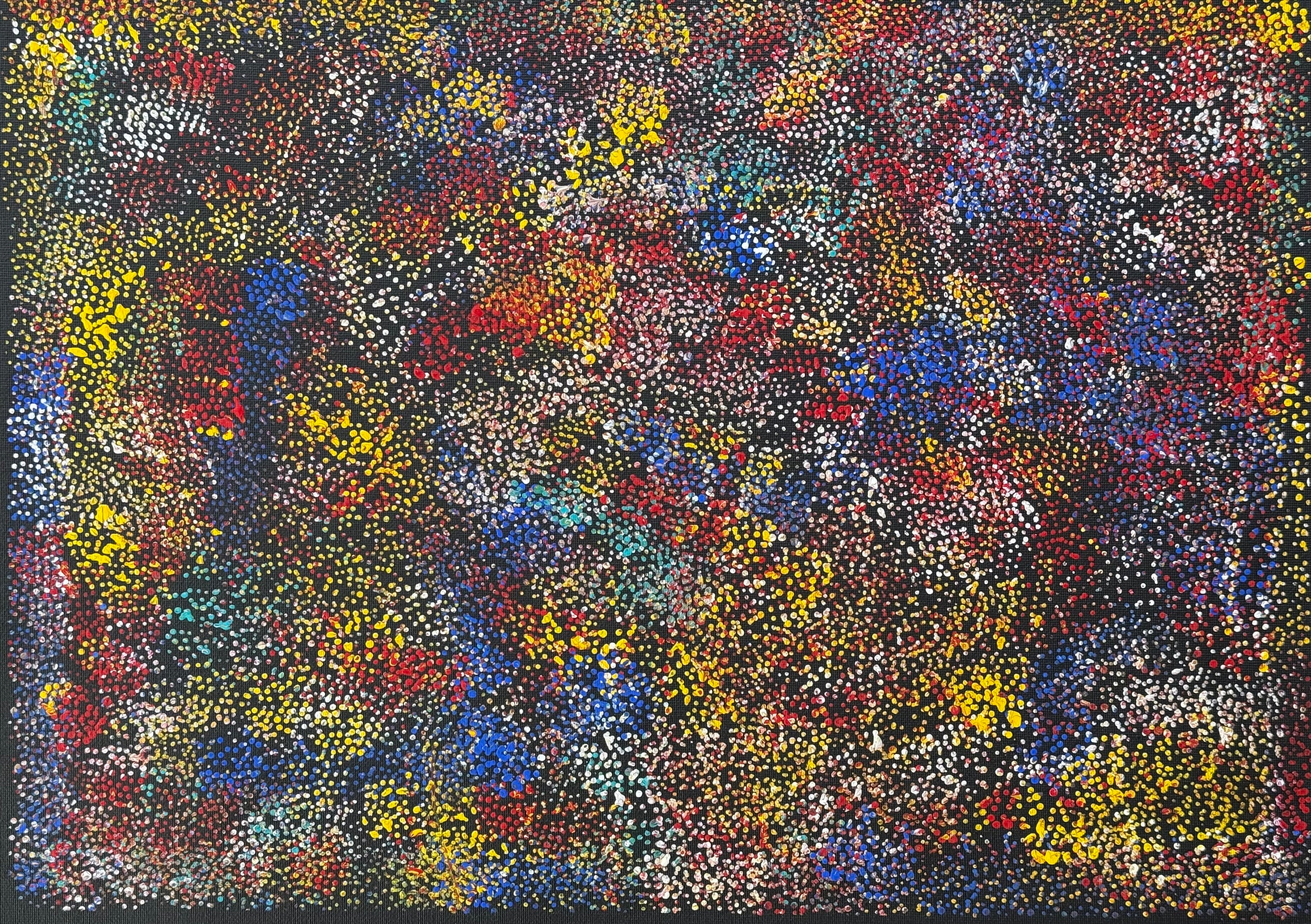 Louise Numina Napananka - Thorny Lizard .57-35