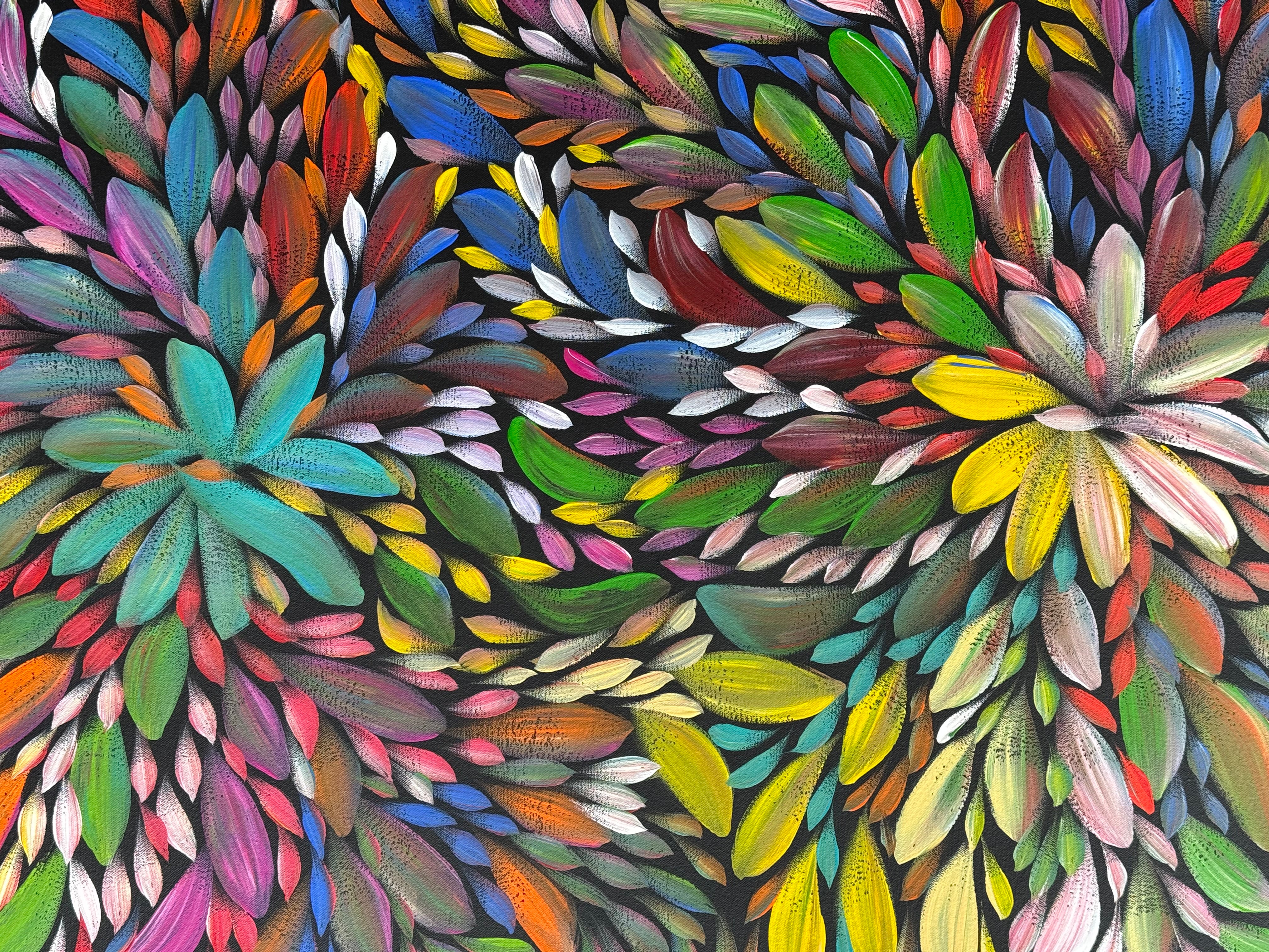 Louise Numina Napananka - Bush Medicine Leaves .21-1