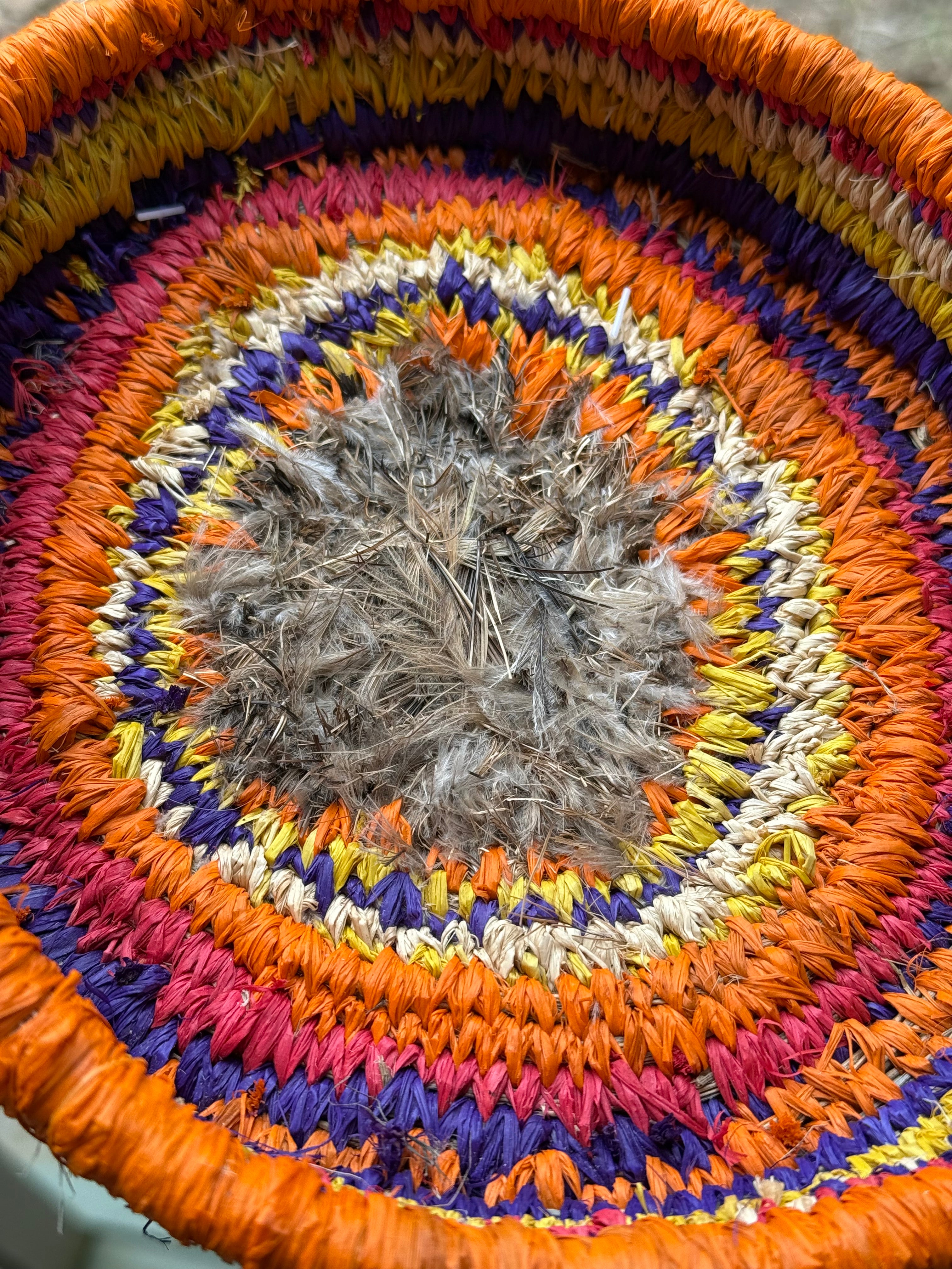 Basket - Michelle Matasia