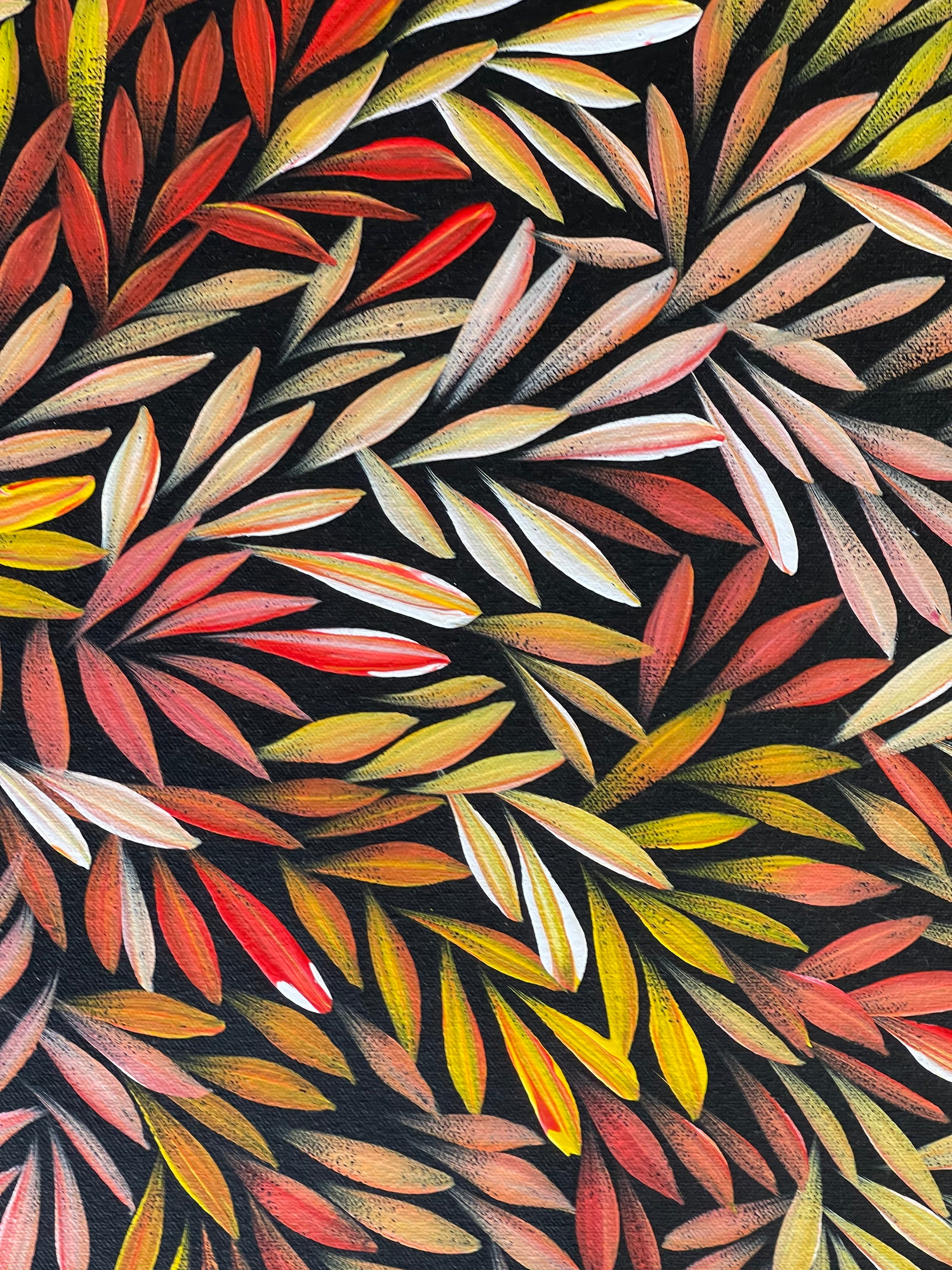 Sharon Numina - Bush Medicine Leaves - 59x60cm .92-3