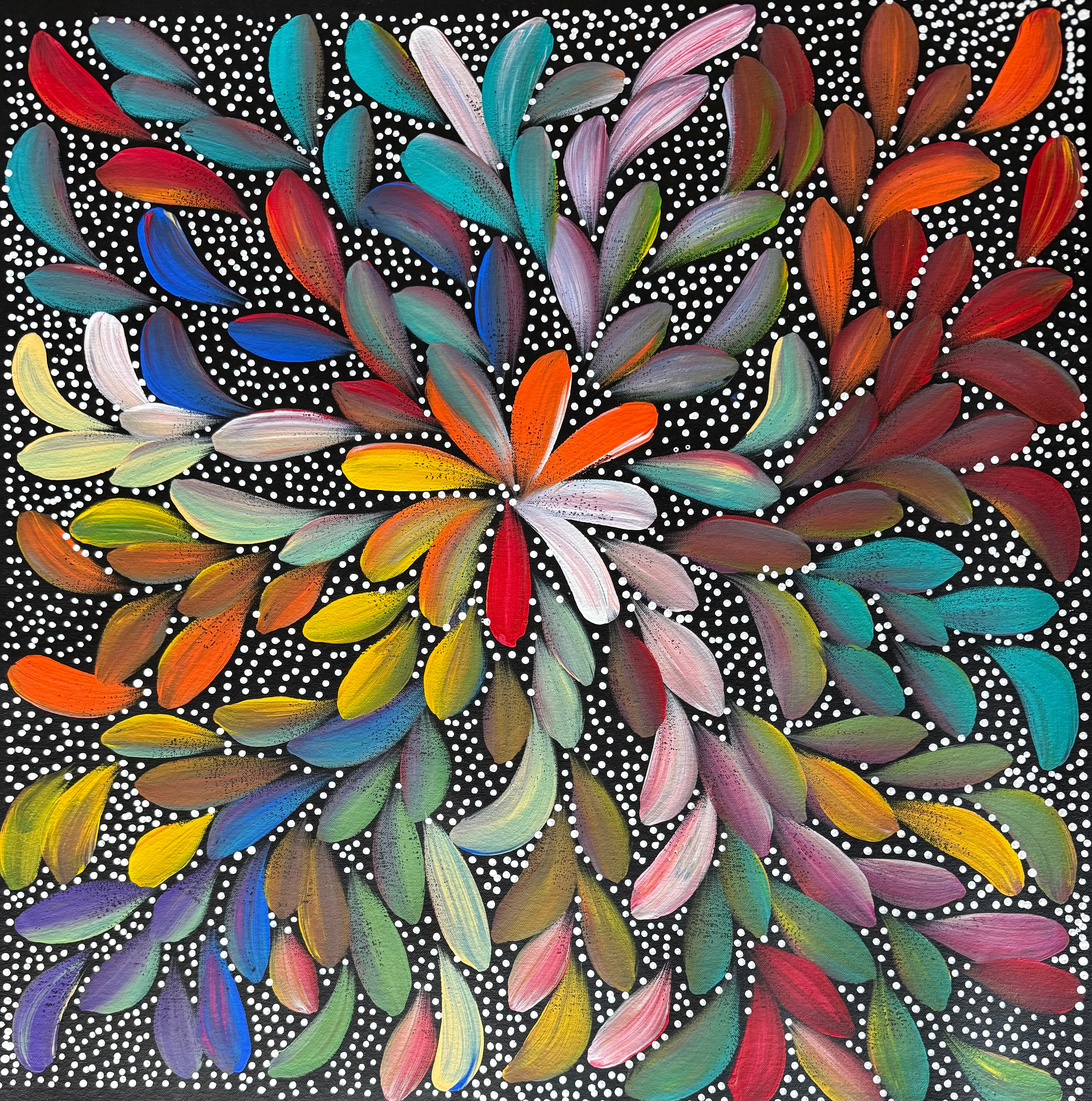 Louise Numina Napananka - Bush Medicine Leaves and Seeds .16-53