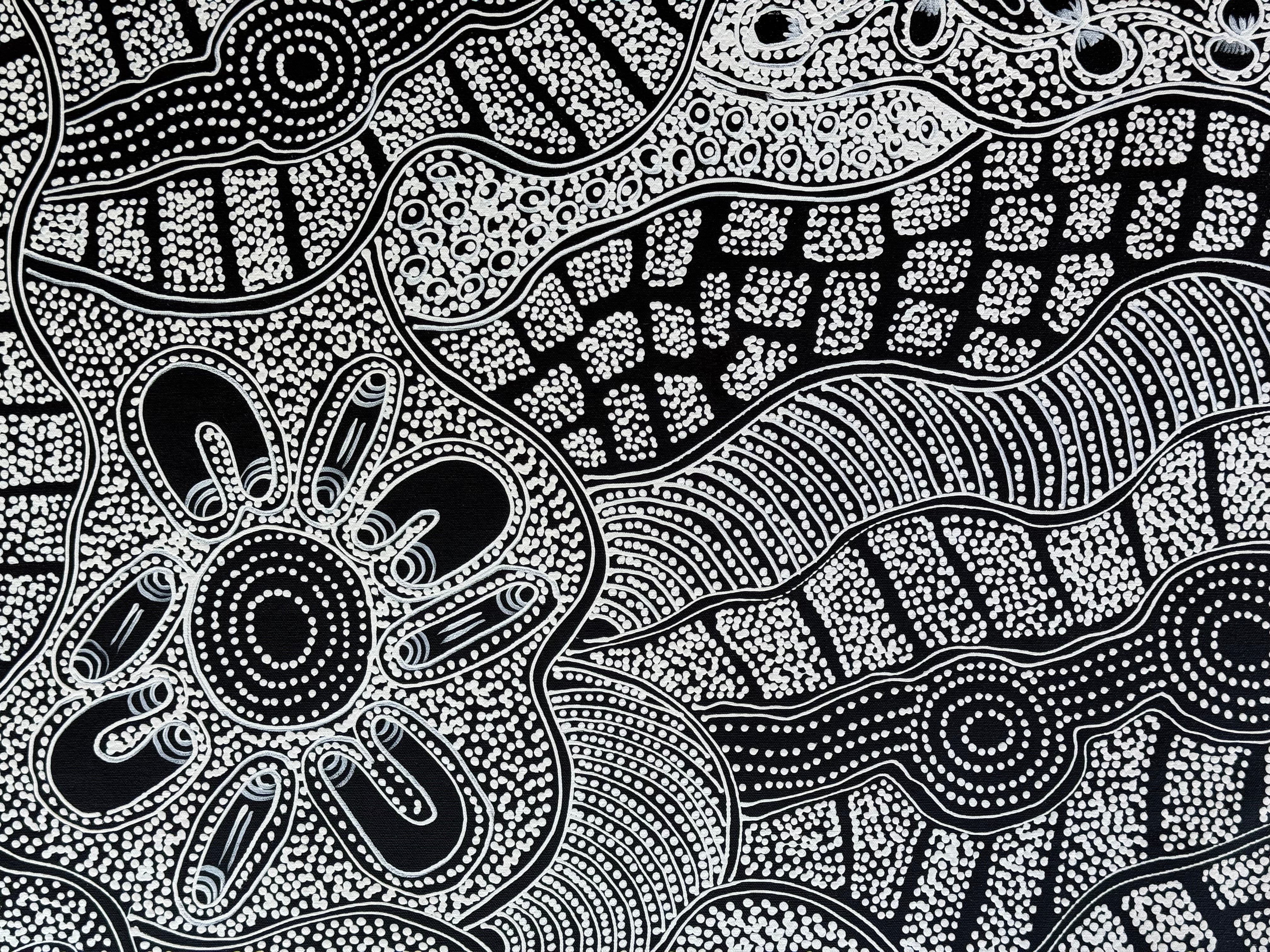 Lanita Numina - Women Collect Bushplums, Bushberries .97-4