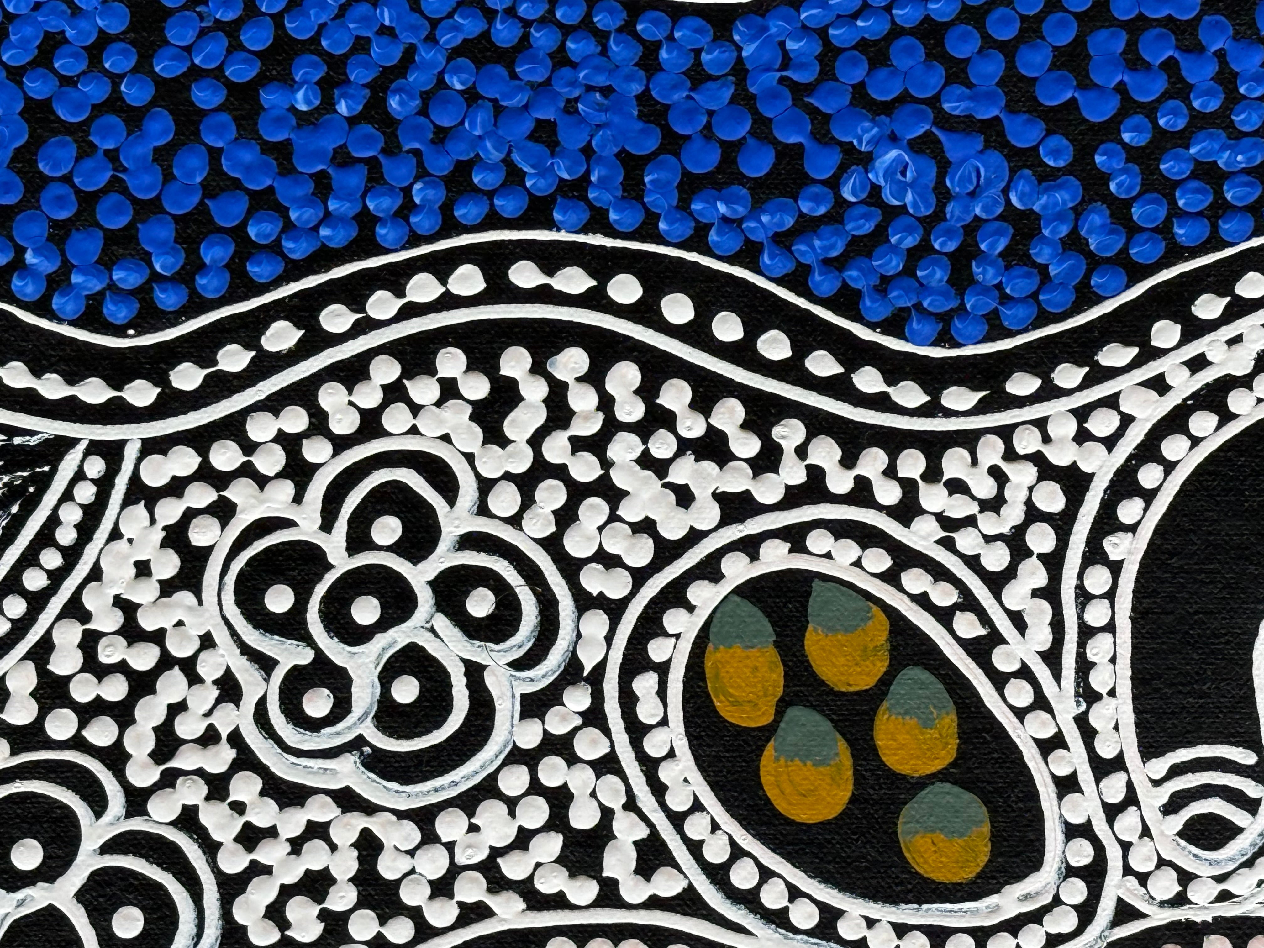 Lanita Numina - Wome Ceremonies, Collect Bushberries .15-23