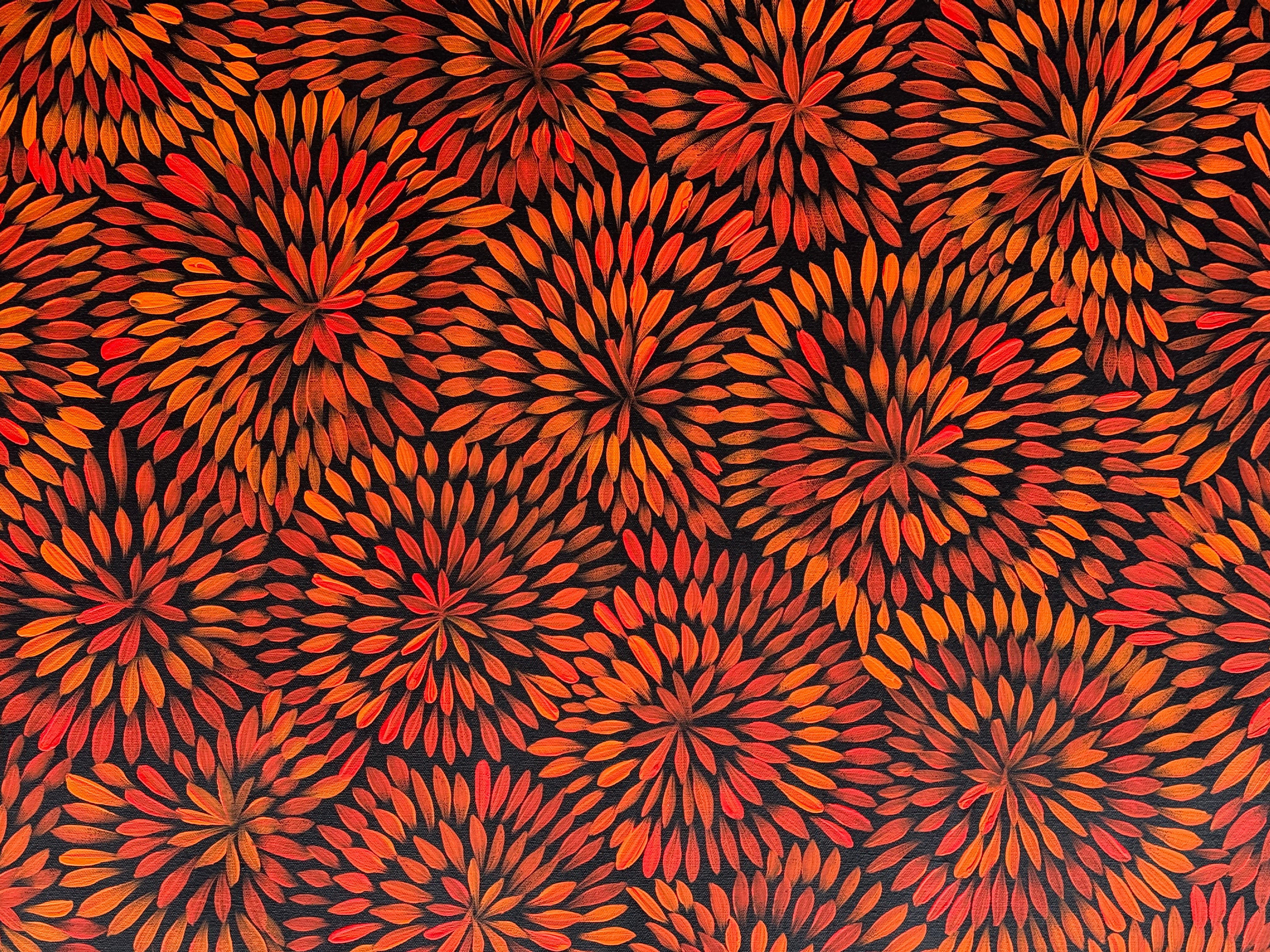 Sharon Numina - Bush Medicine Flowers .68-8
