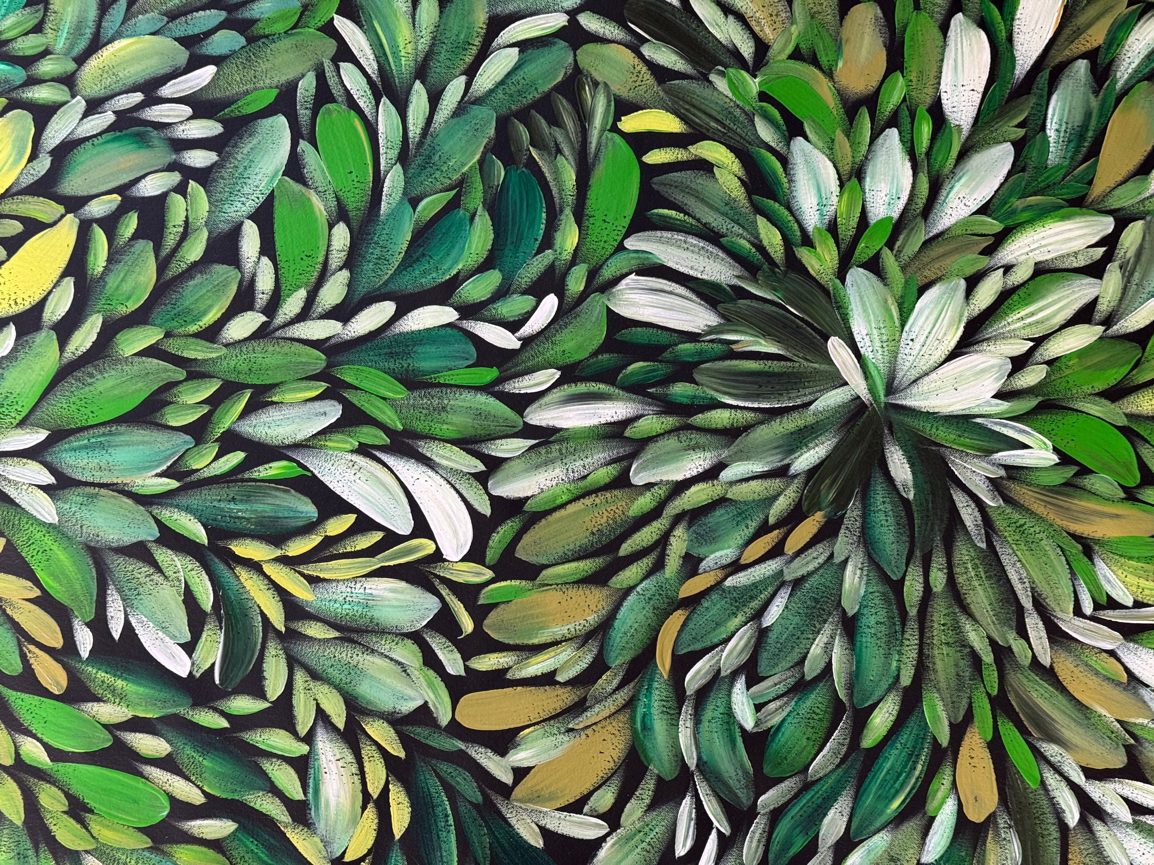 Louise Numina Napananka - Bush Medicine Leaves .22-11