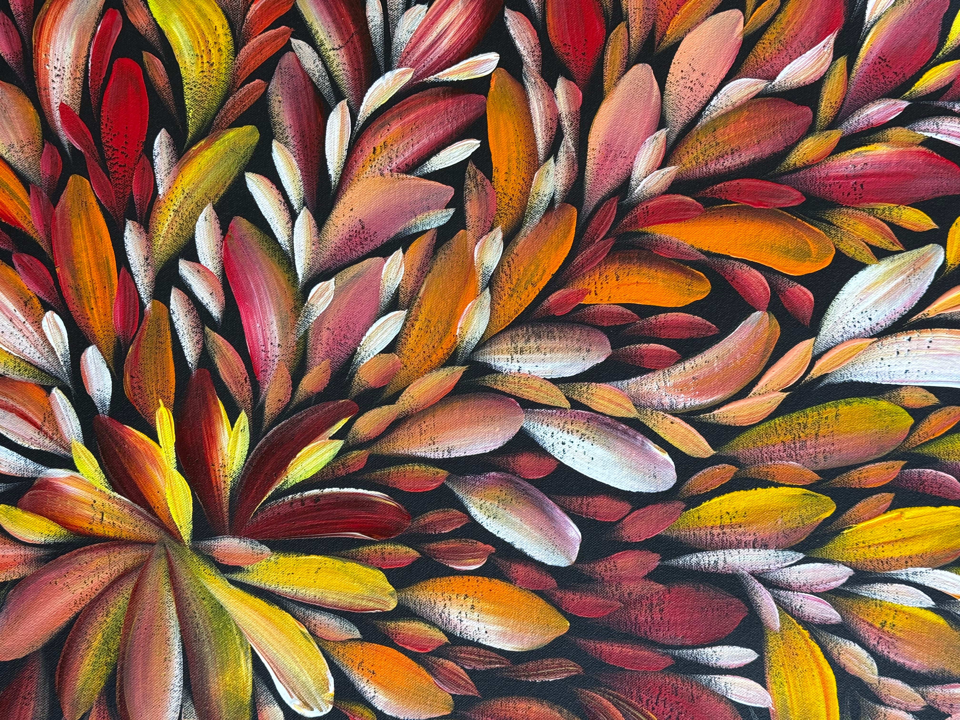 Louise Numina Napananka - Bush Medicine Leaves .24-12