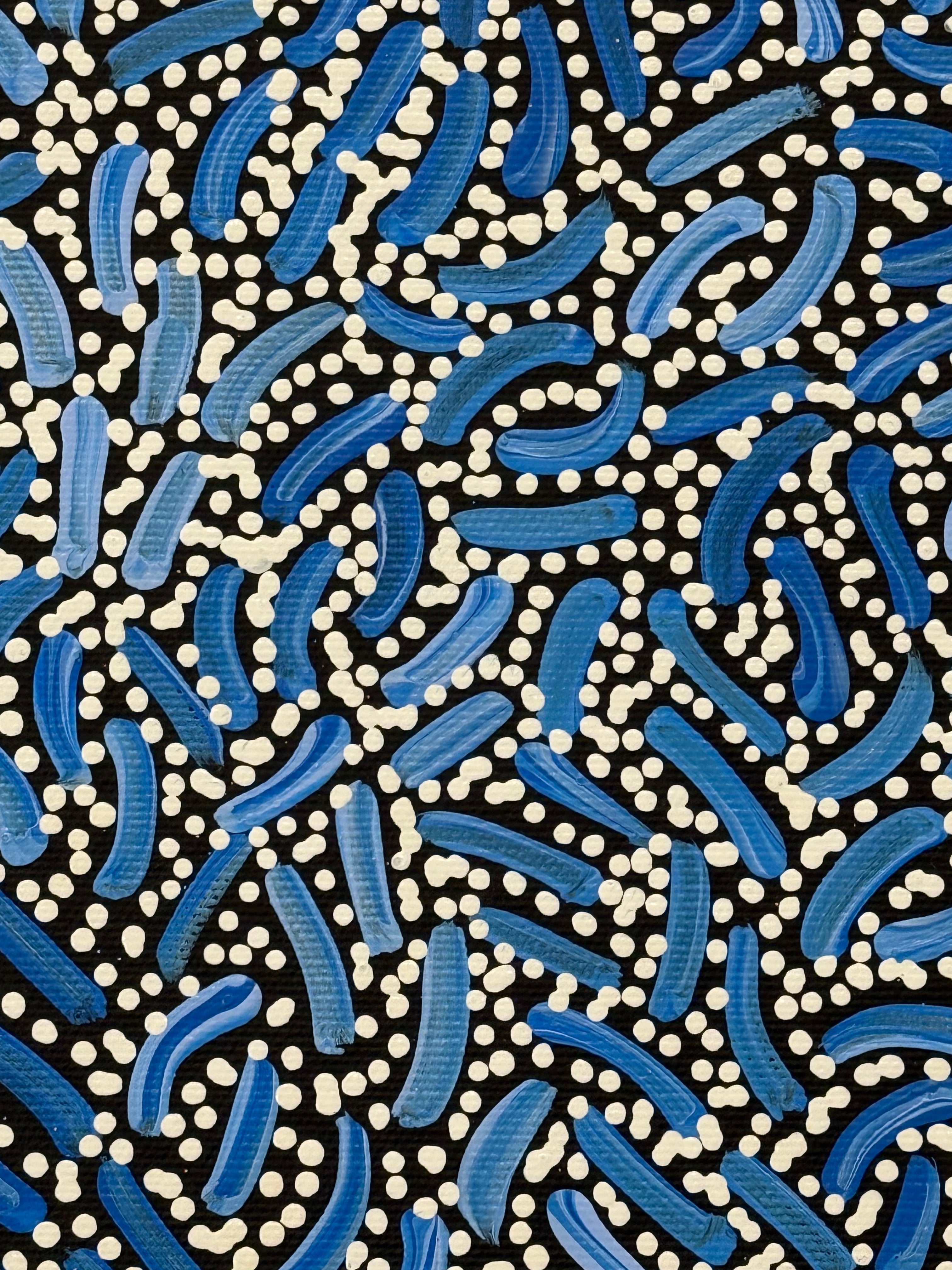 Nathania Nangala Granites - Warlukurlangu Jukurrpa (Fire Country Dreaming) - Stretched