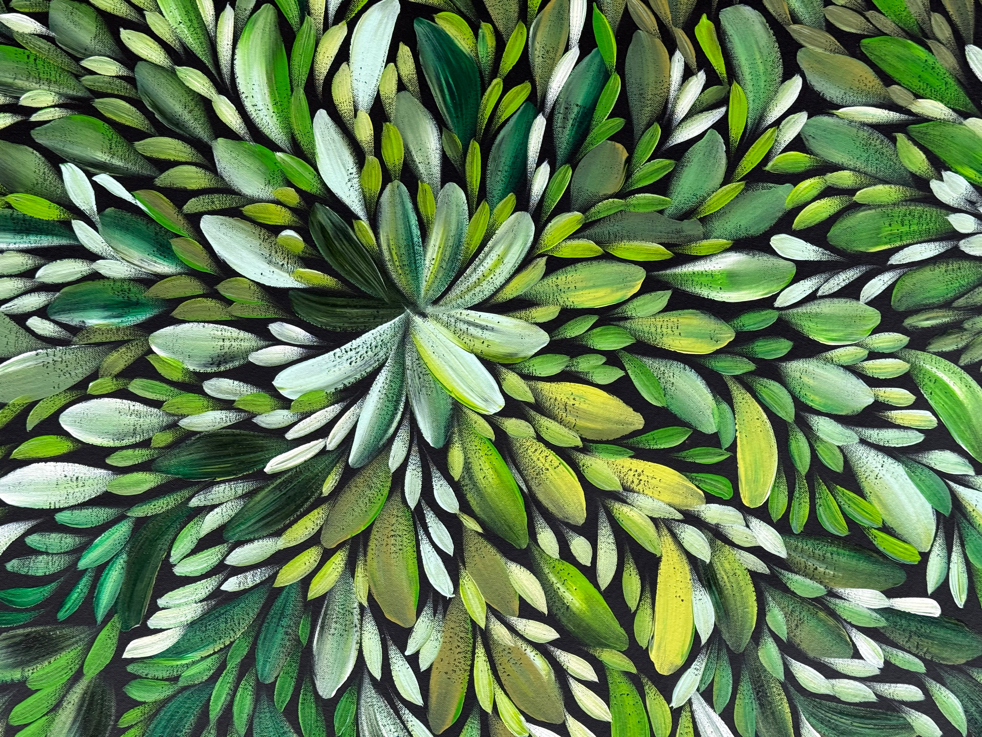 Louise Numina Napananka - Bush Medicine Leaves .22-23