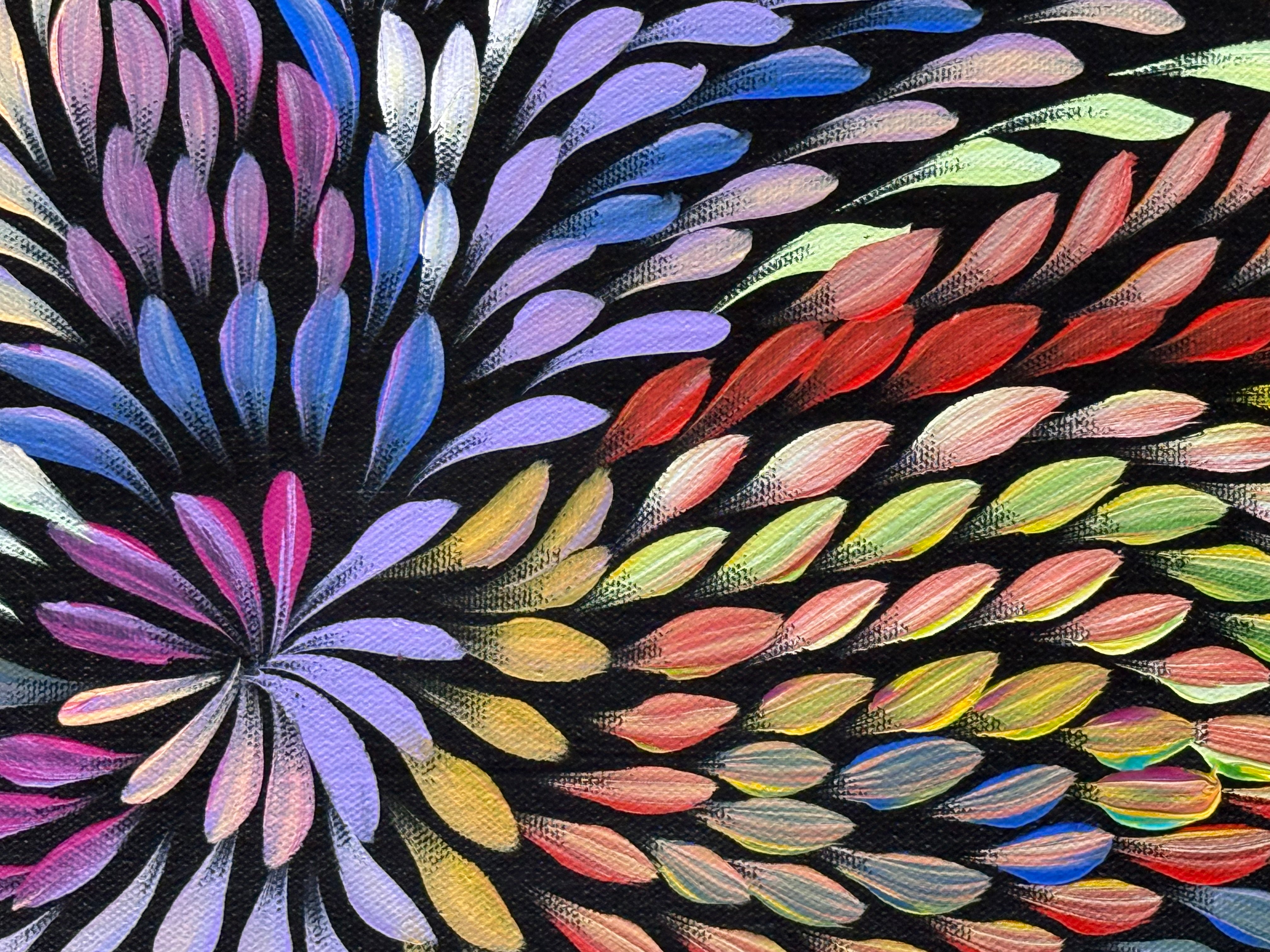 Caroline Numina - Bush Medicine Leaves .04-44