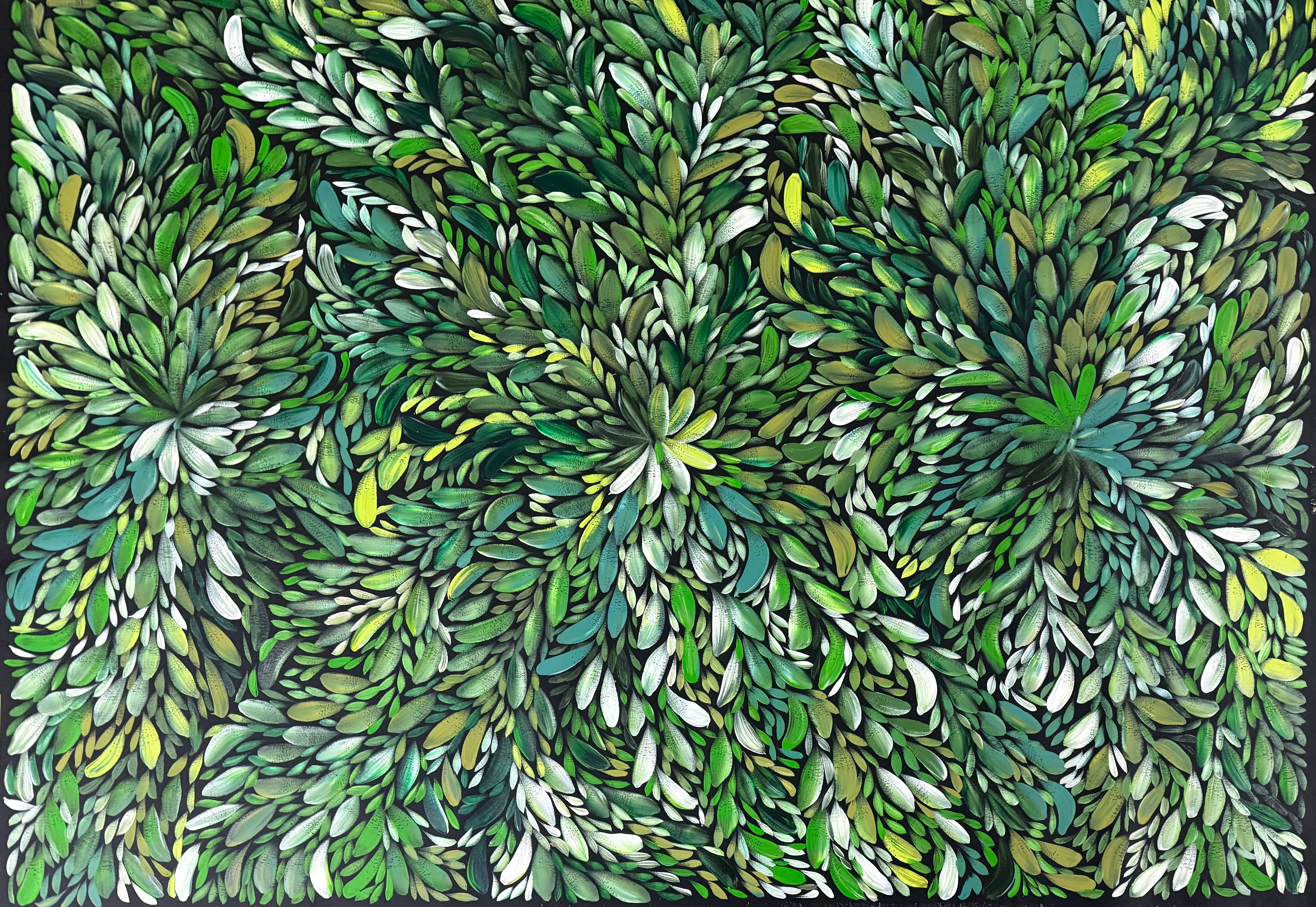 Louise Numina Napananka - Bush Medicine Leaves .22-19