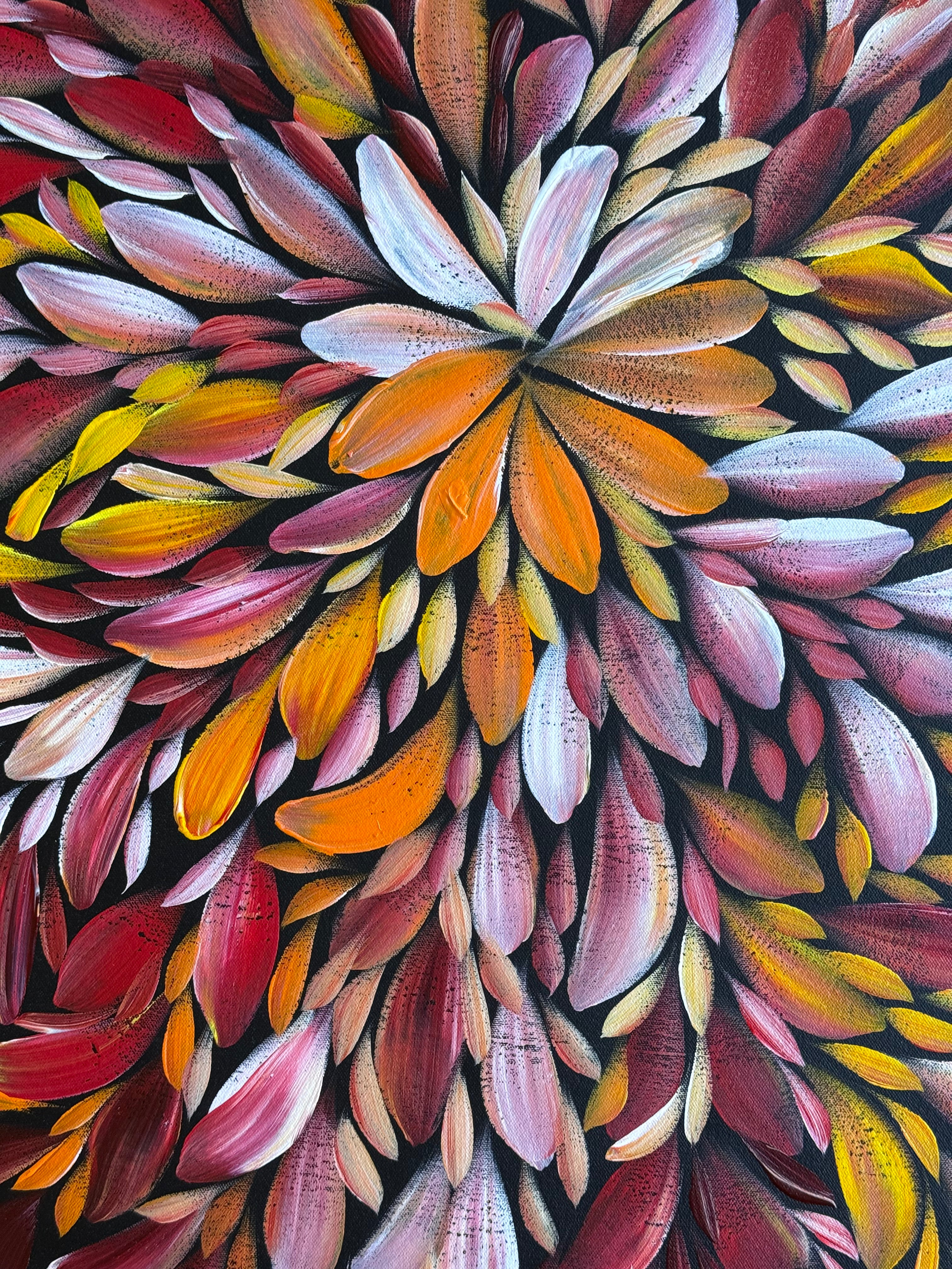 Louise Numina Napananka - Bush Medicine Leaves .24-13