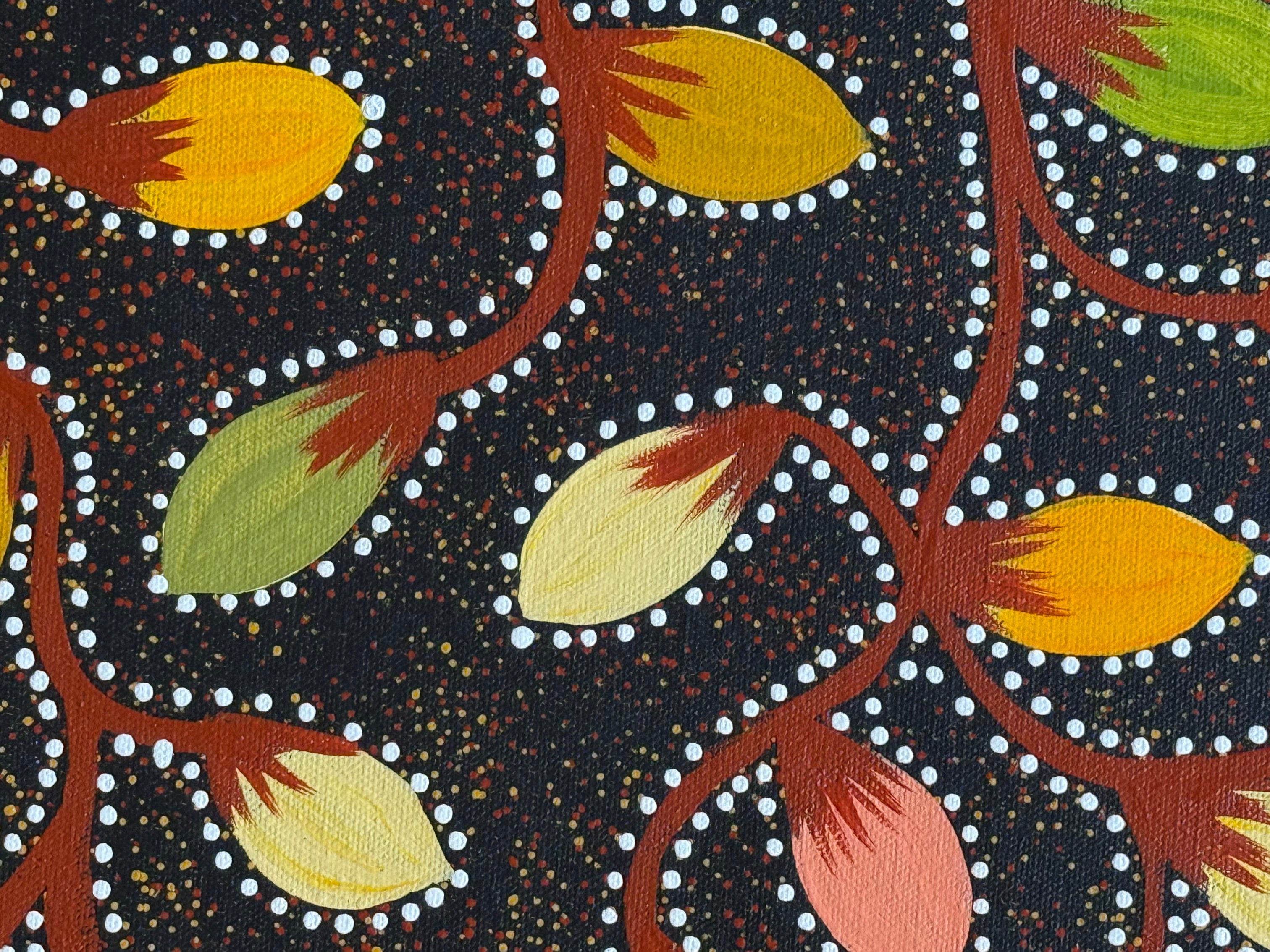 Jacinta Numina Waugh - Bush Tomatoes - 38x52cm .30-10