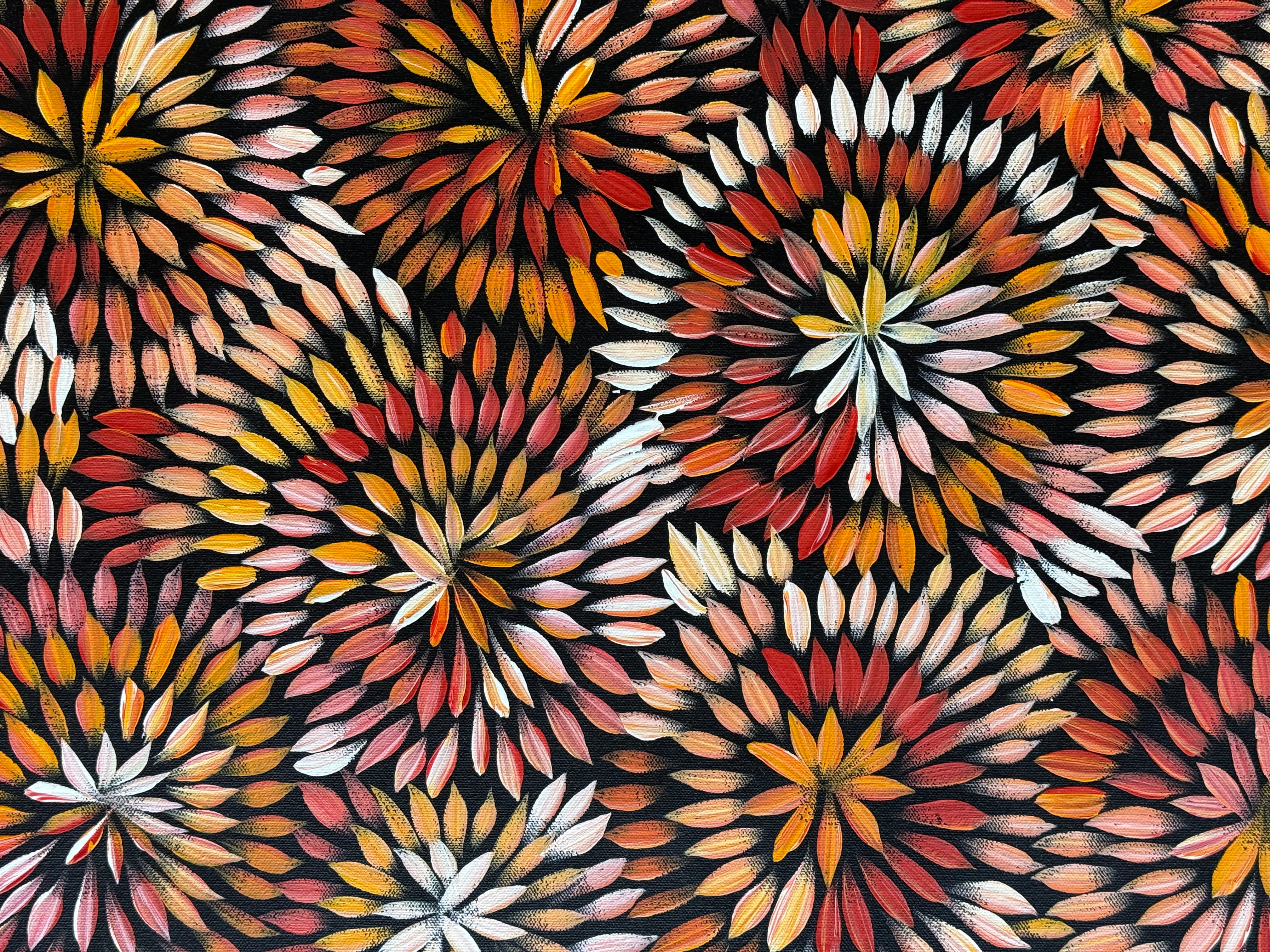 Sharon Numina - Bush Medicine Flowers .83-6