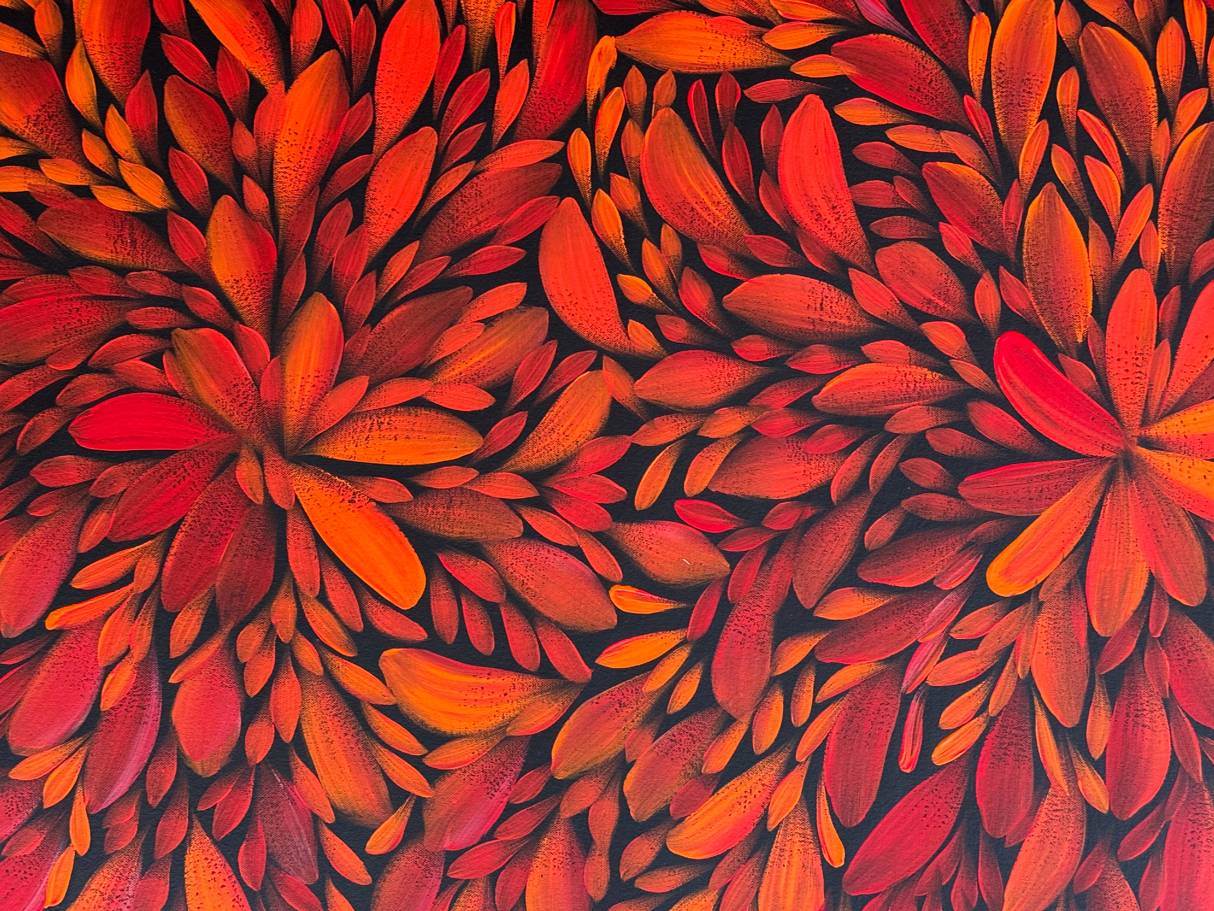 Louise Numina Napananka - Bush Medicine Leaves .57-44