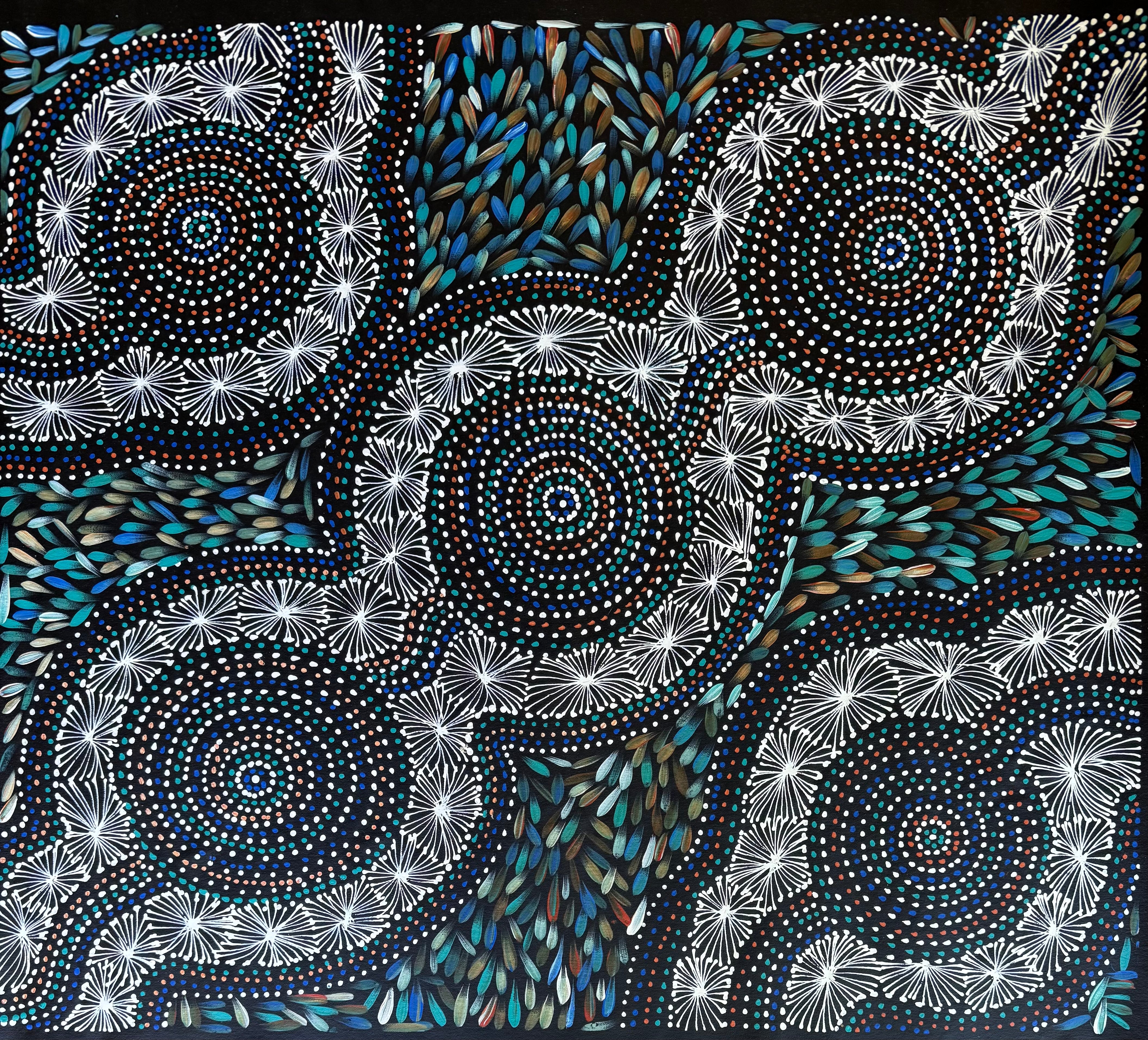 Selina Numina Kamprina - Seeds and Waterholes .92-16