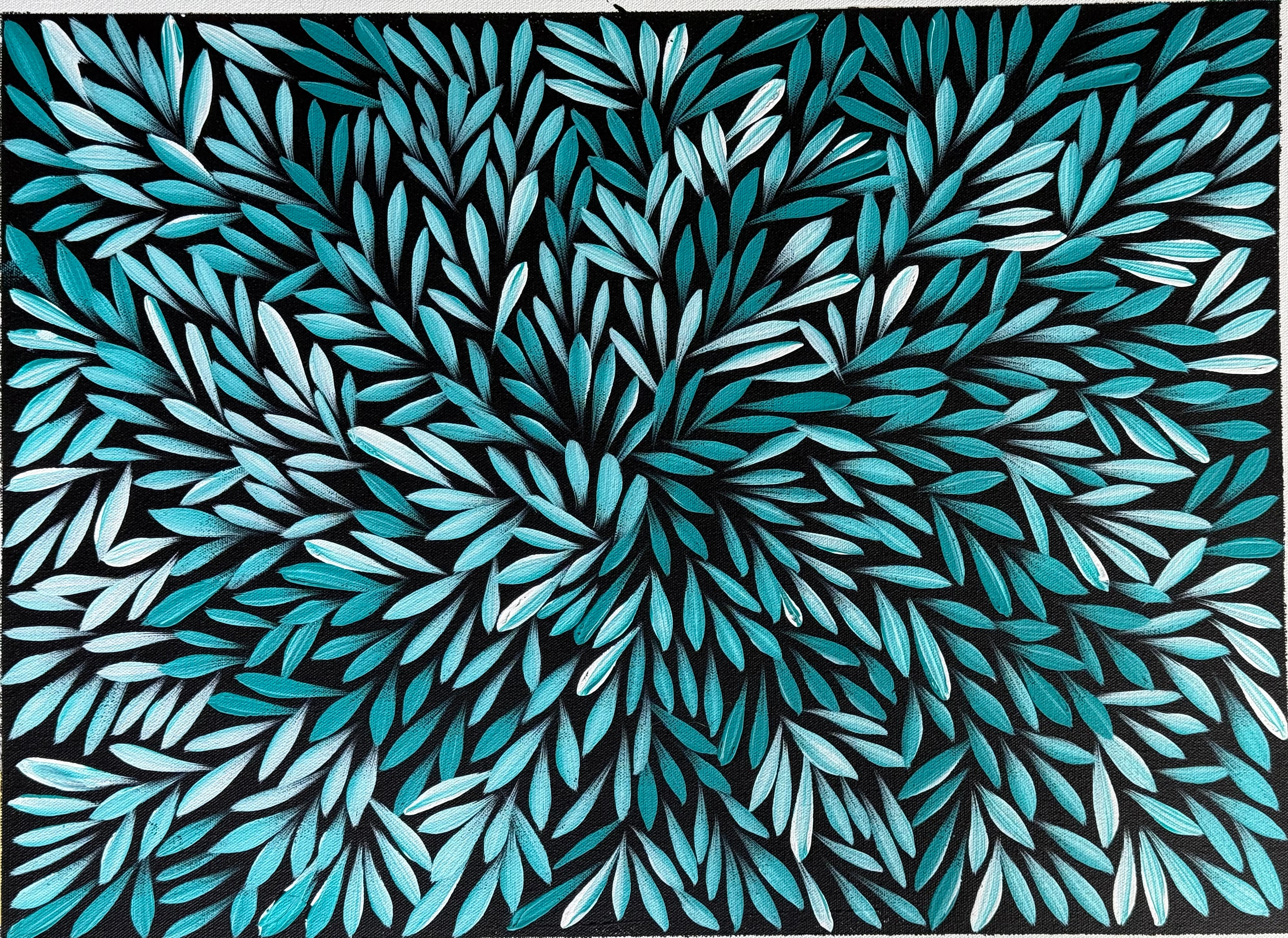 Sharon Numina - Bush Medicine Leaves .14-64