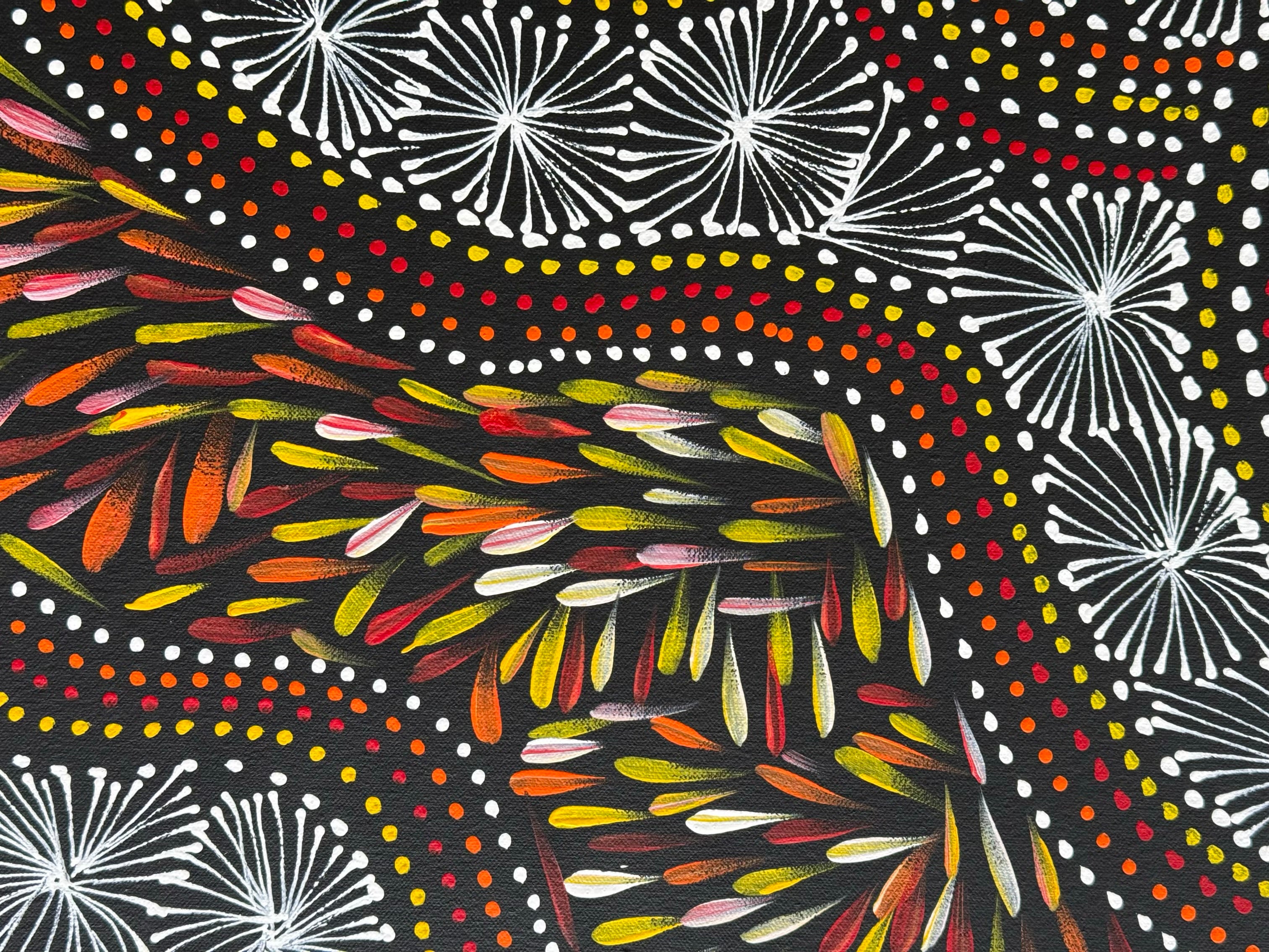 Selina Numina Kamprina - Seeds and Waterholes .44-4