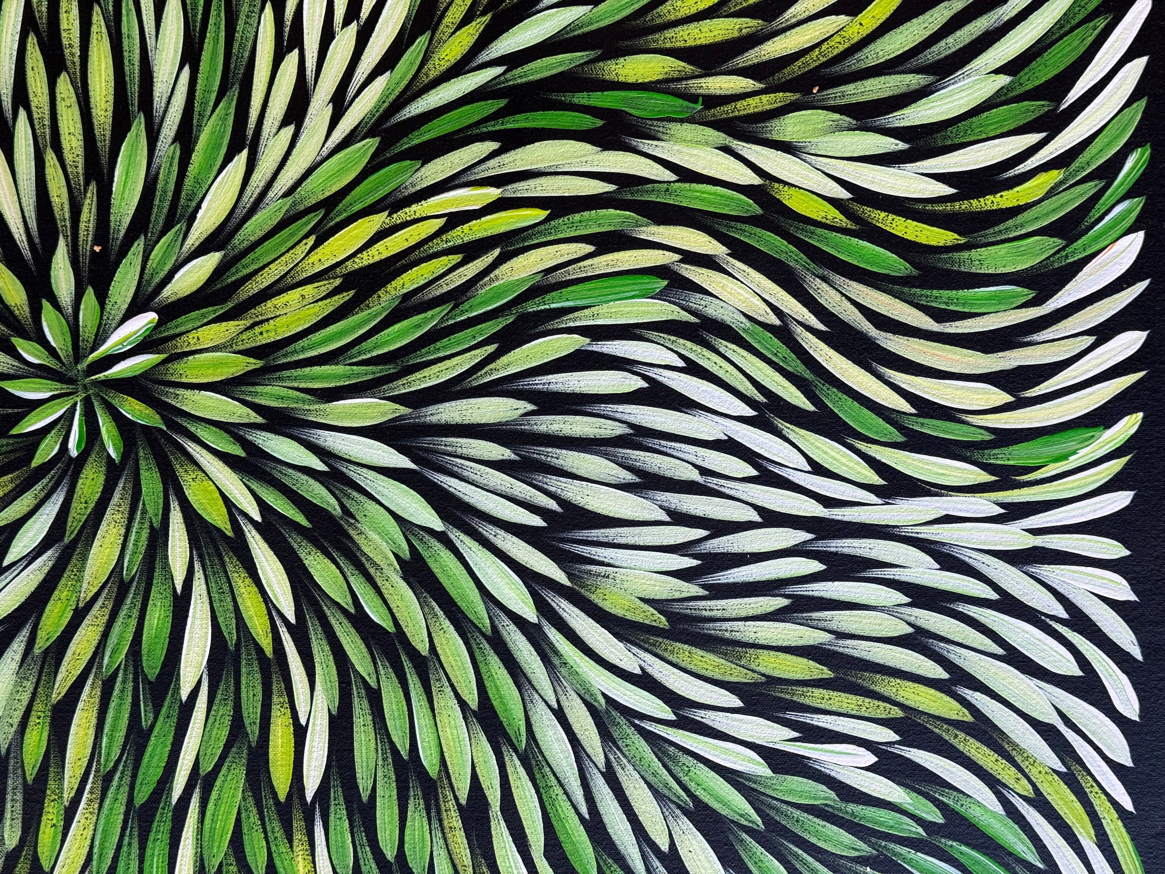 Sharon Numina - Bush Medicine Leaves .14-16
