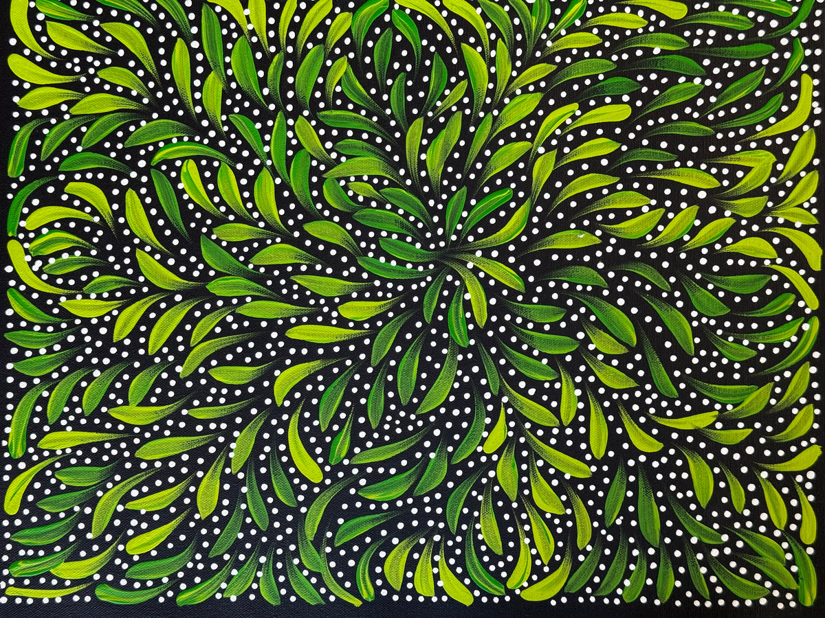 Caroline Numina - Bush Medicine Leaves and Seeds .45-5