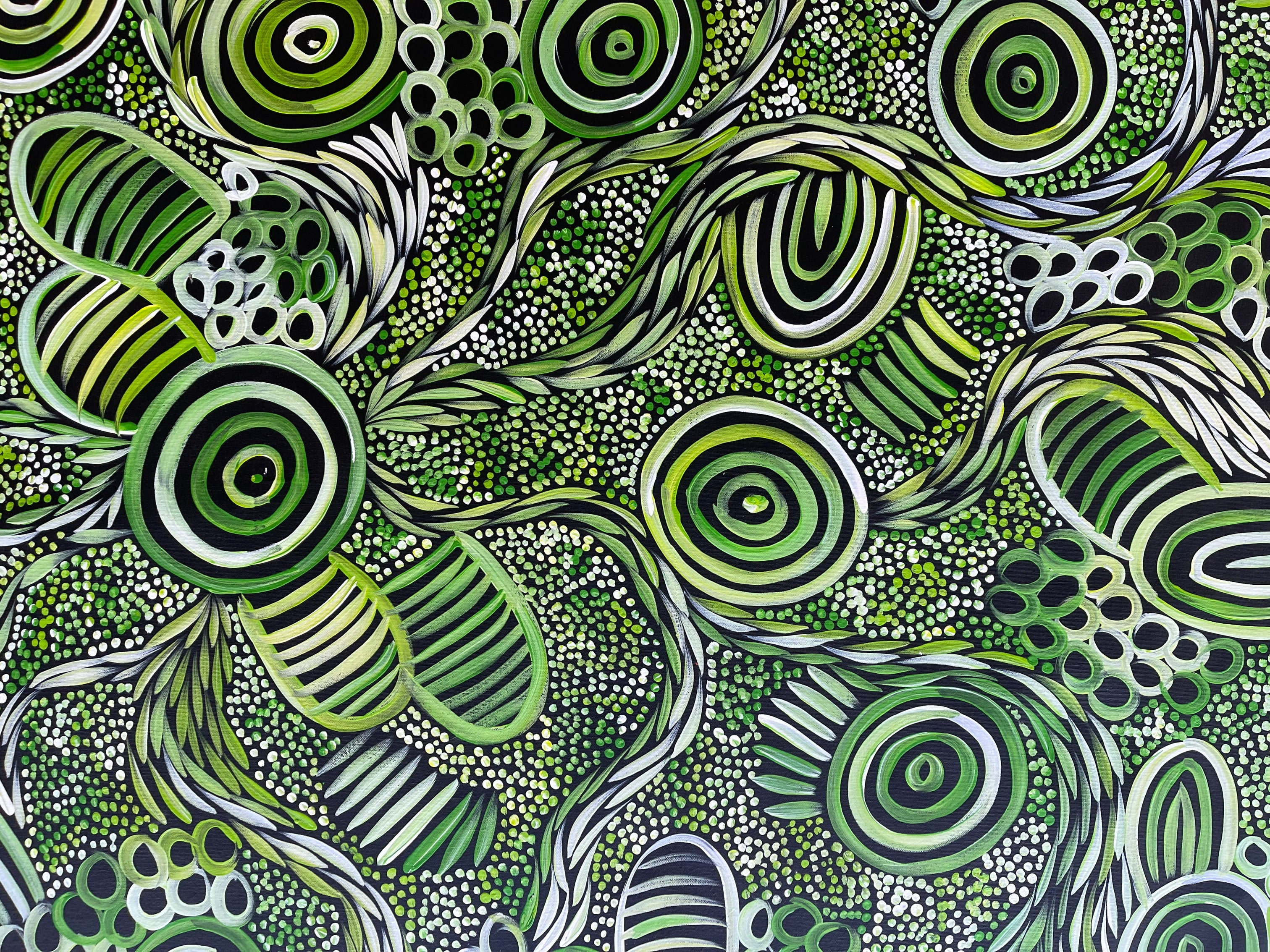 Sharon Numina - My Country Dreaming Bush Medicine and Bush Melon - 147x91cm .80-1