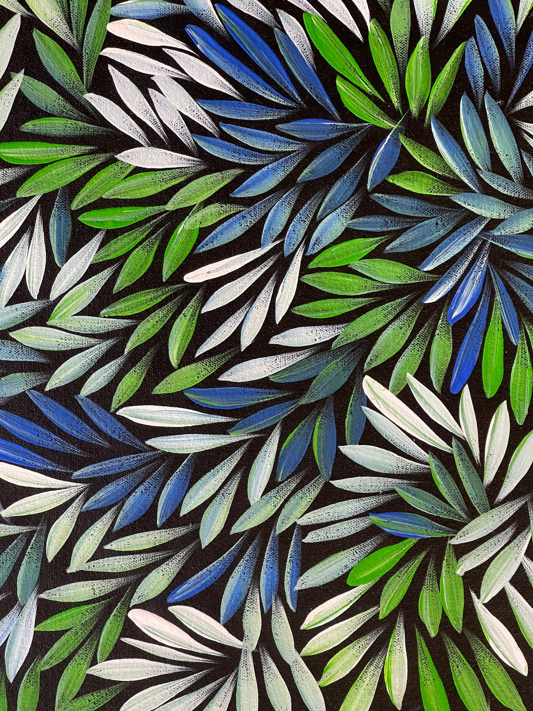 Sharon Numina - Bush Medicine Leaves - 59x60cm .92-4