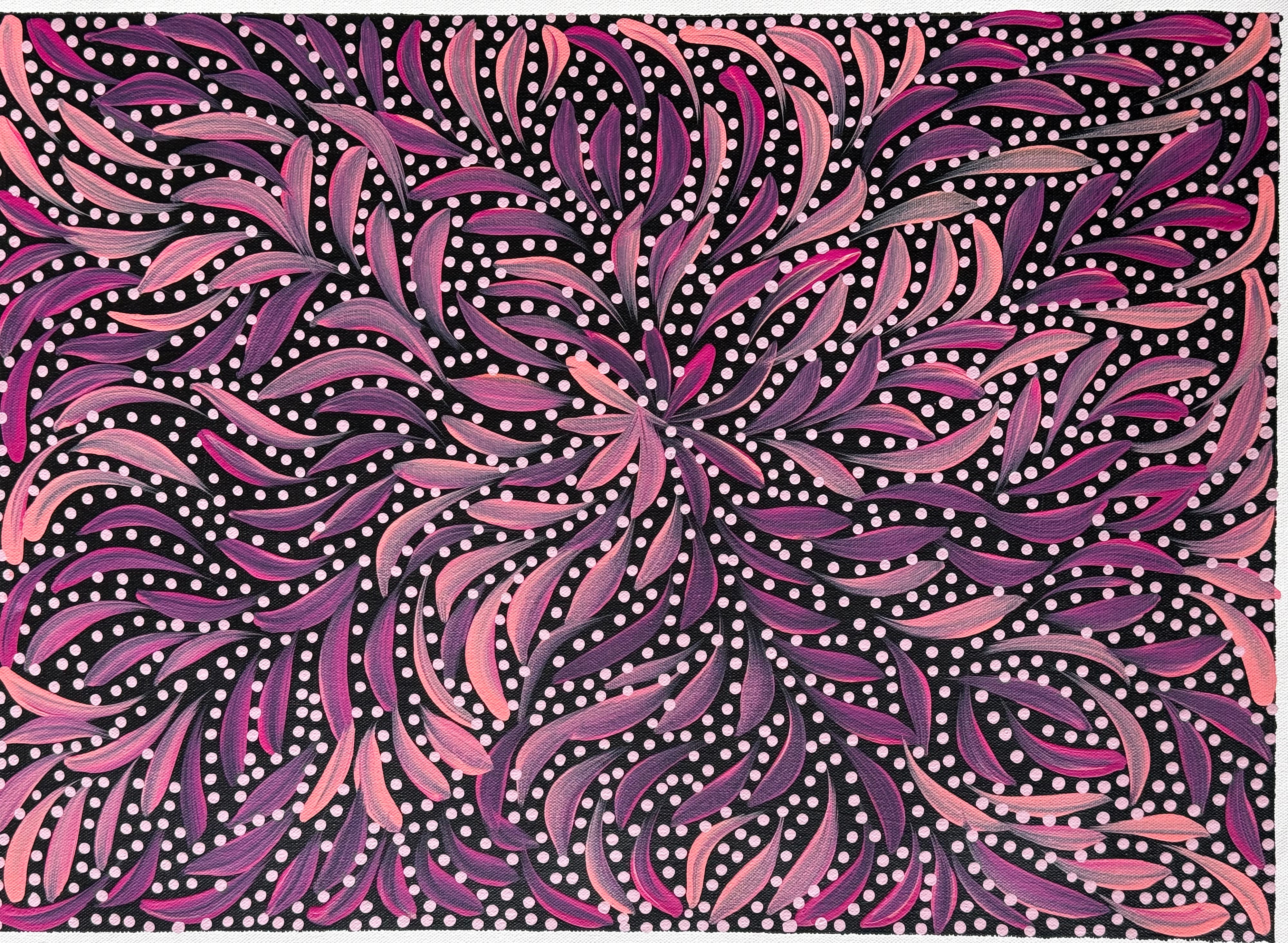 Caroline Numina - Bush Medicine Leaves .35-16