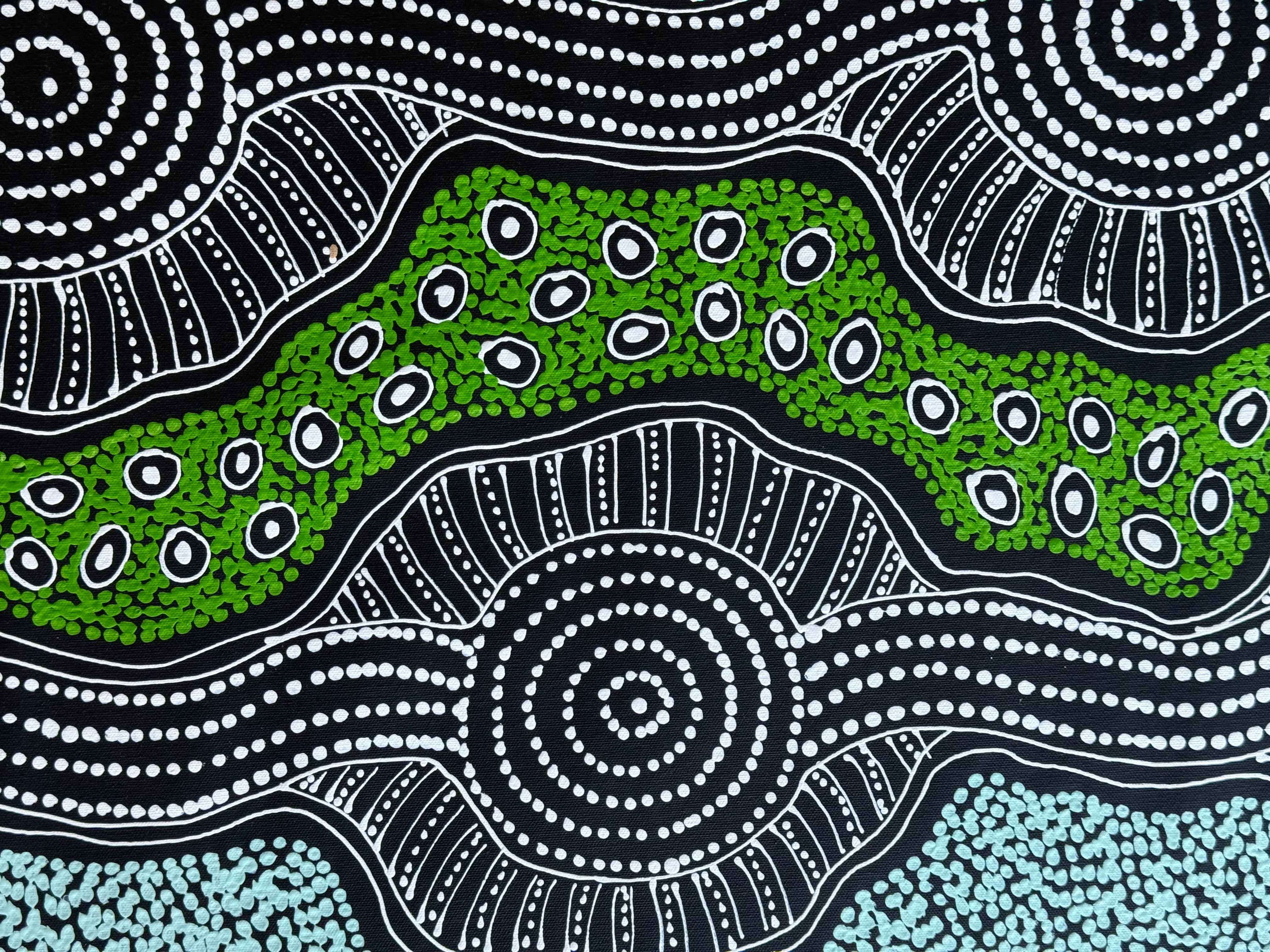 Sharon Numina - Emu Dreaming .48-2