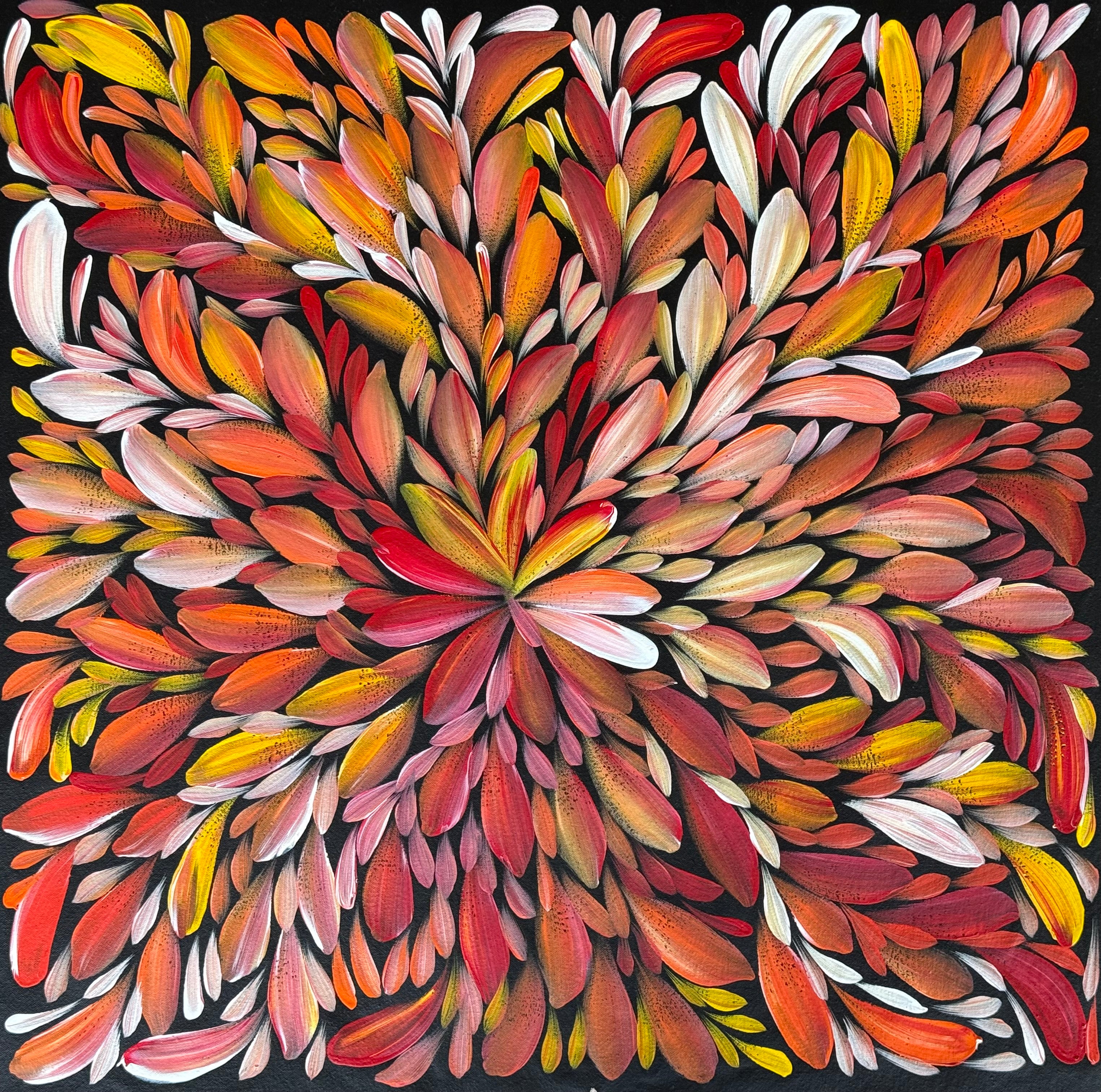 Louise Numina Napananka - Bush Medicine Leaves .16-62