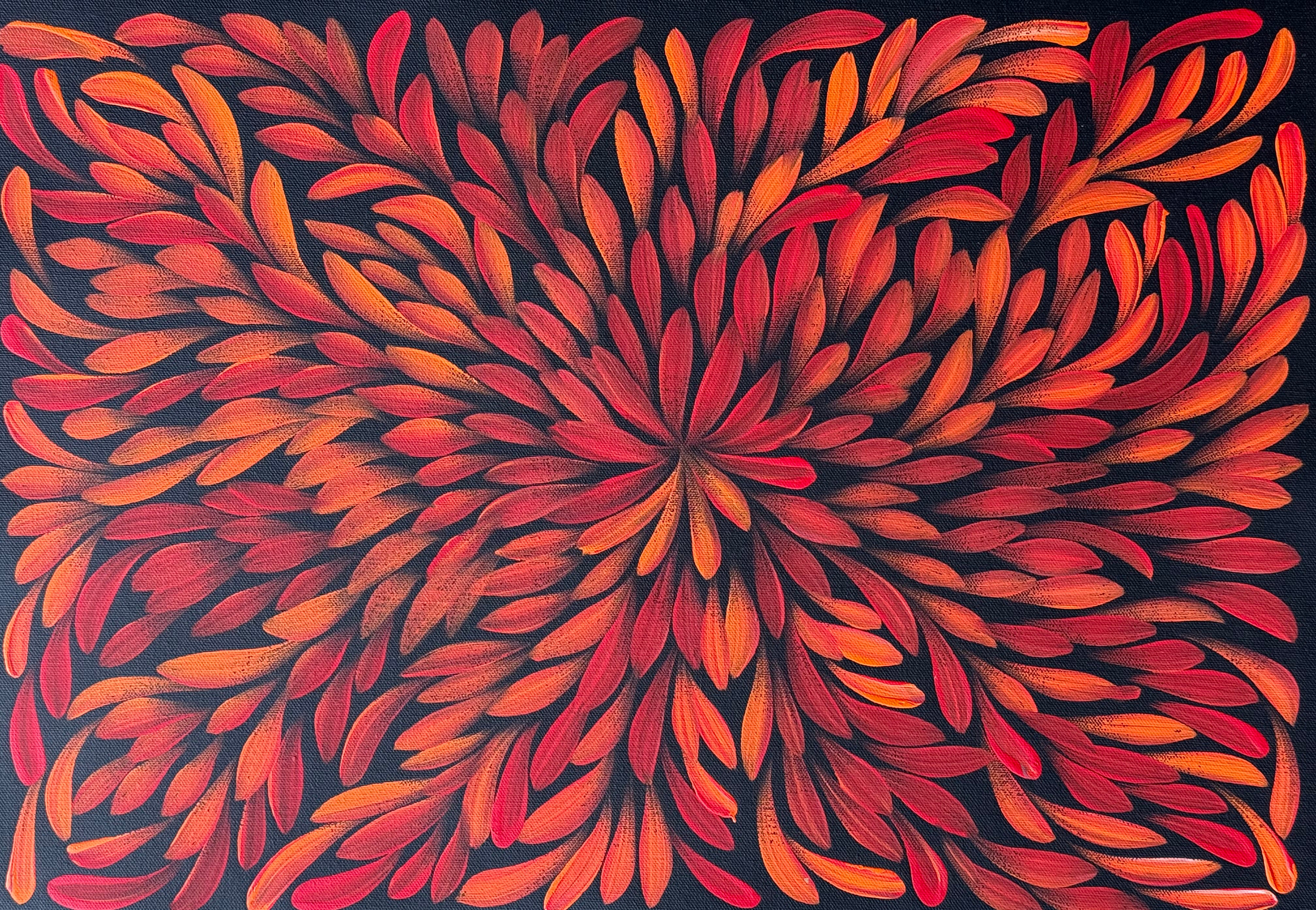 Louise Numina Napananka - Bush Medicine Leaves .57-77