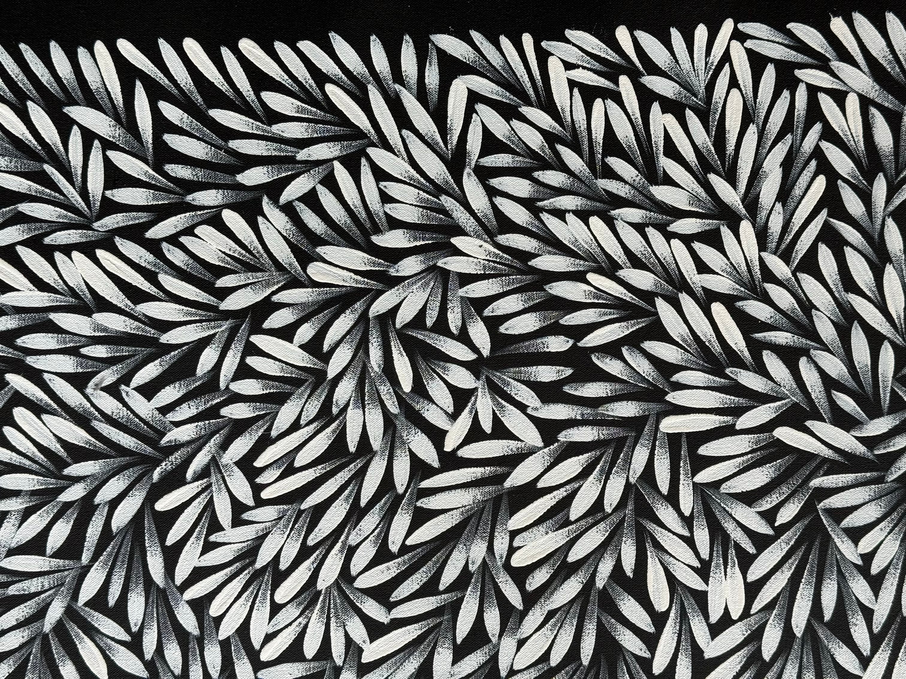 Sharon Numina - Bush Medicine Leaves .59-2