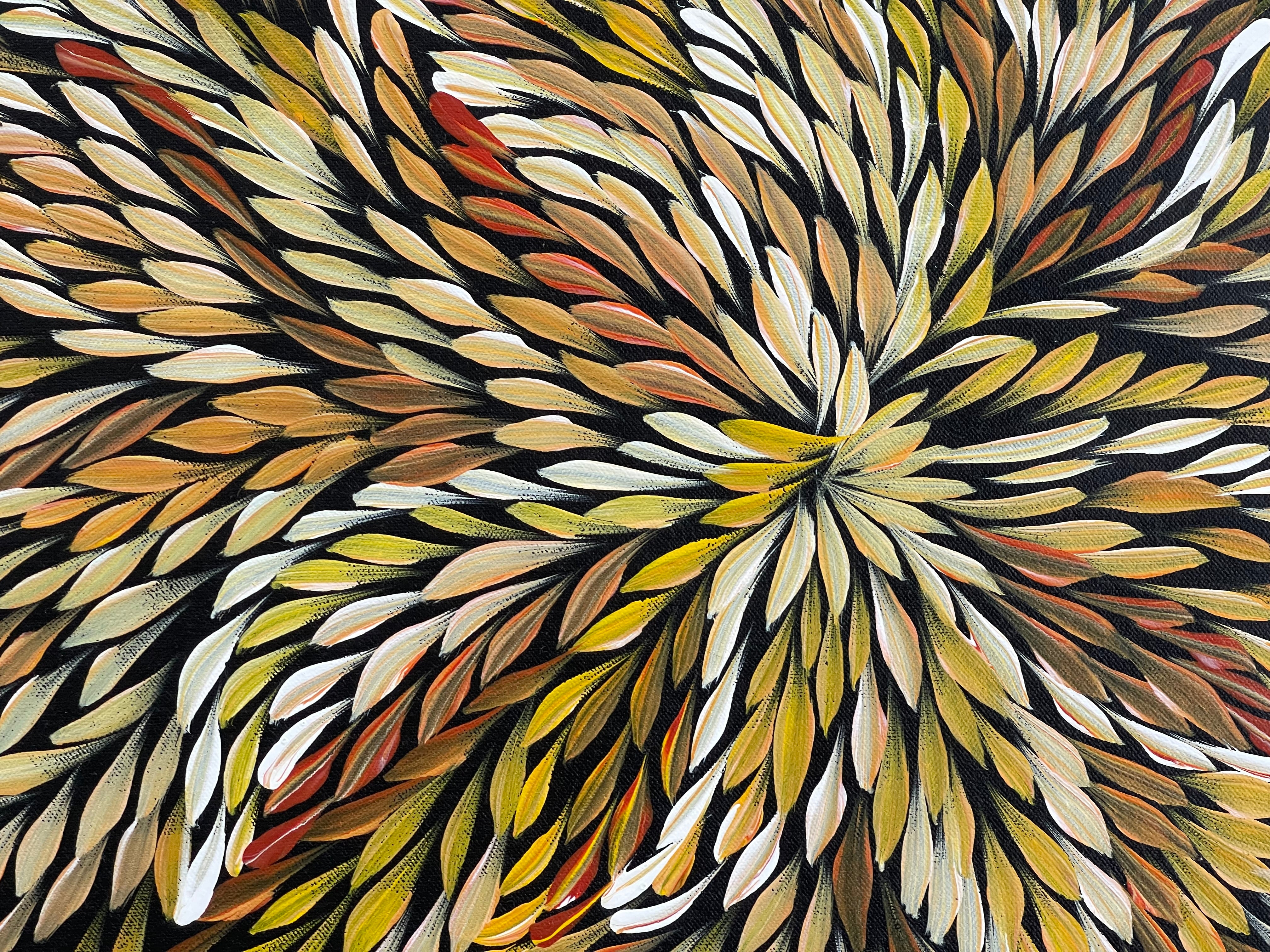 Caroline Numina - Bush Medicine Leaves - 47x62cm .62-17