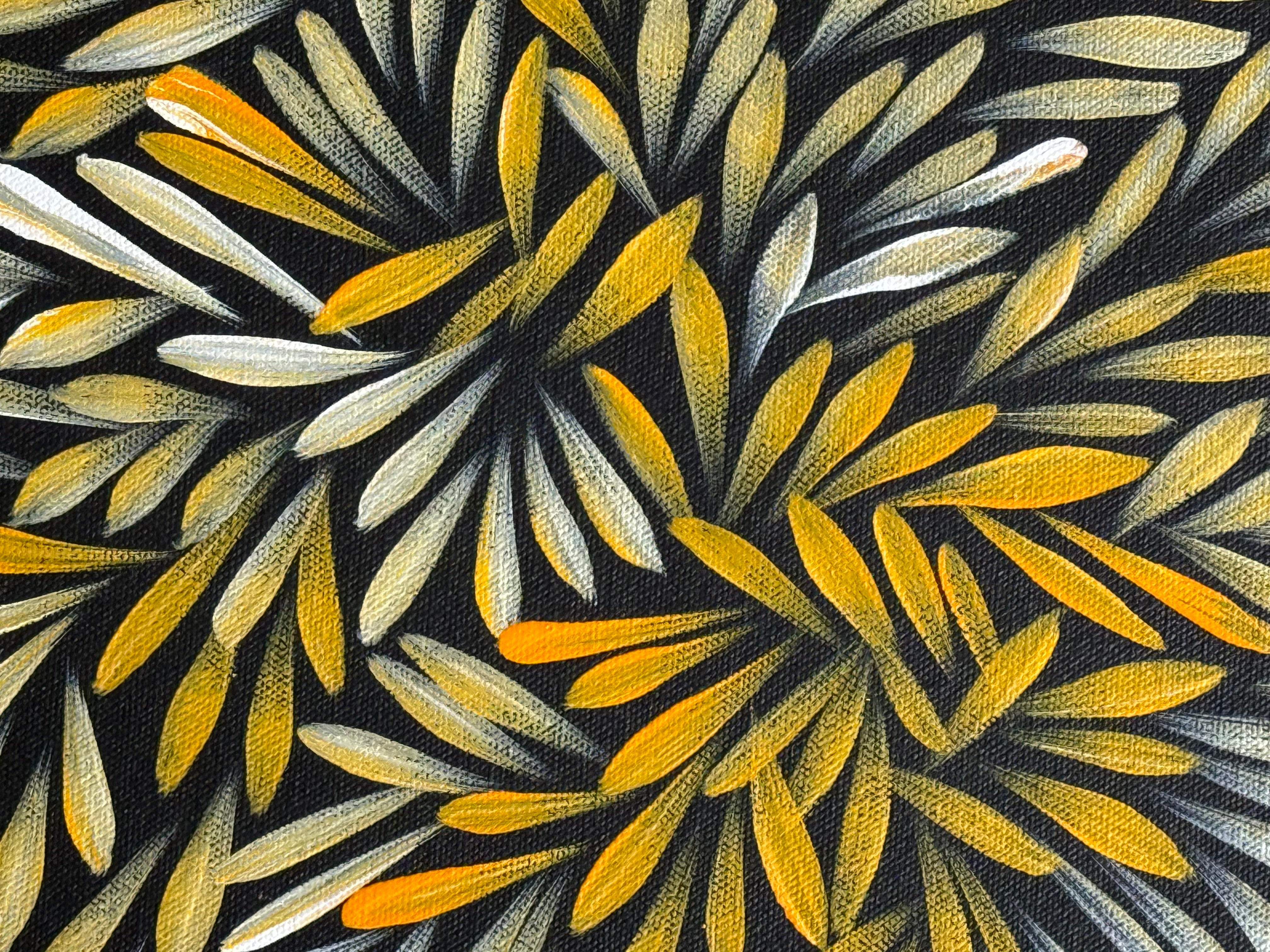 Sharon Numina - Bush Medicine Leaves .14-50