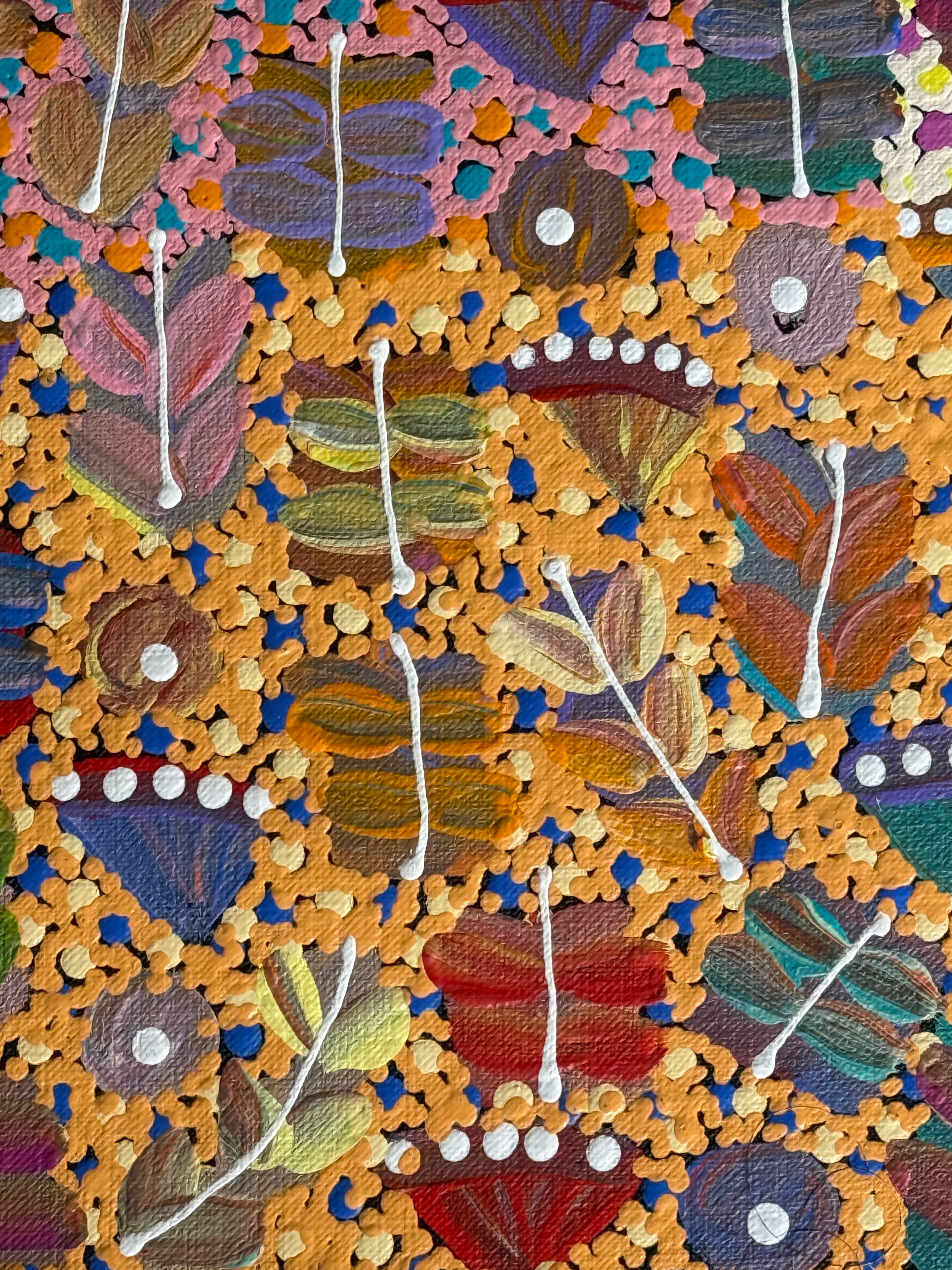 Joycie Morton Petyarre - Bush Medicine .171