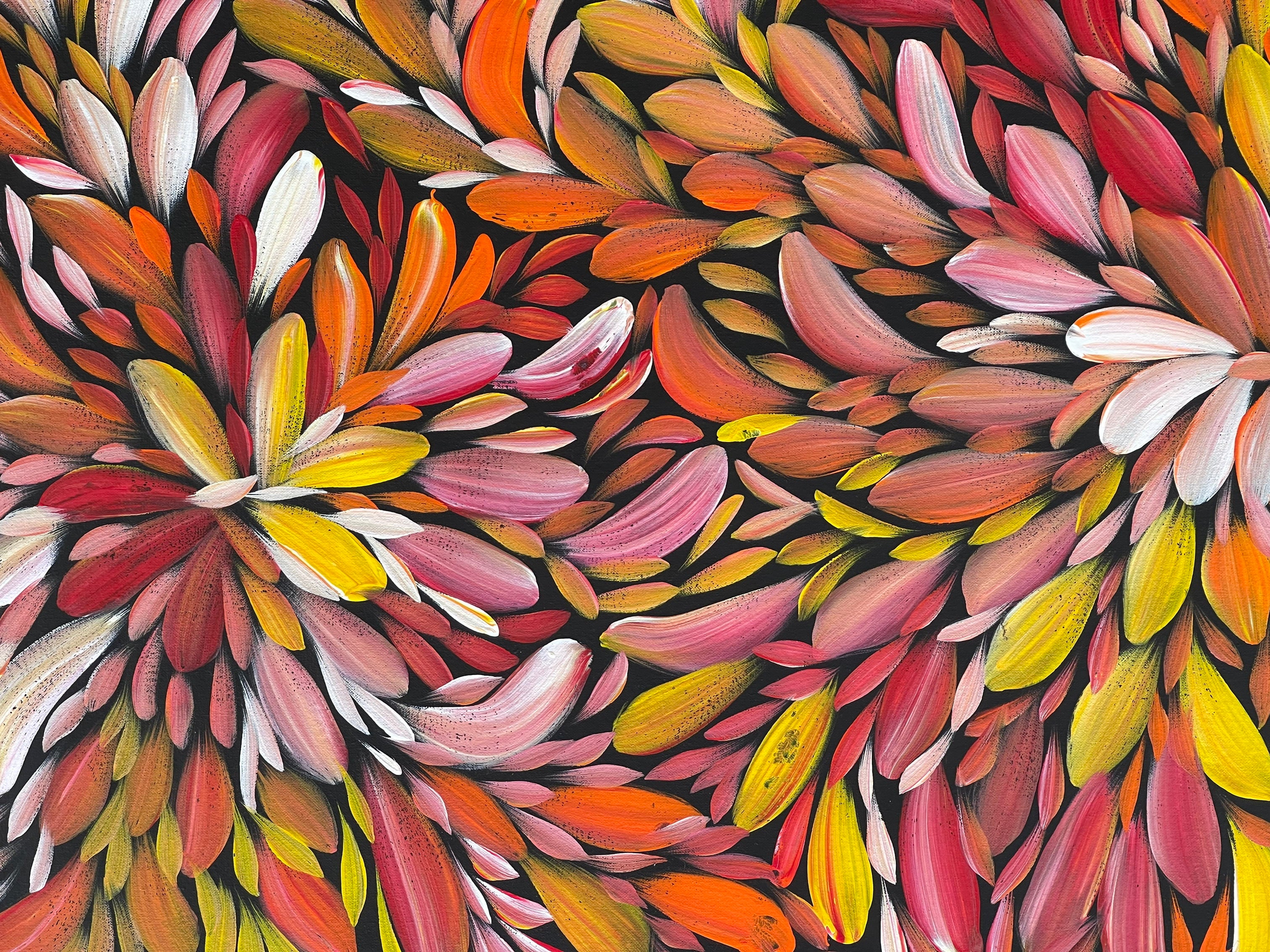 Louise Numina Napananka - Bush Medicine Leaves, Healing Leaves - 130x60cm .91-9