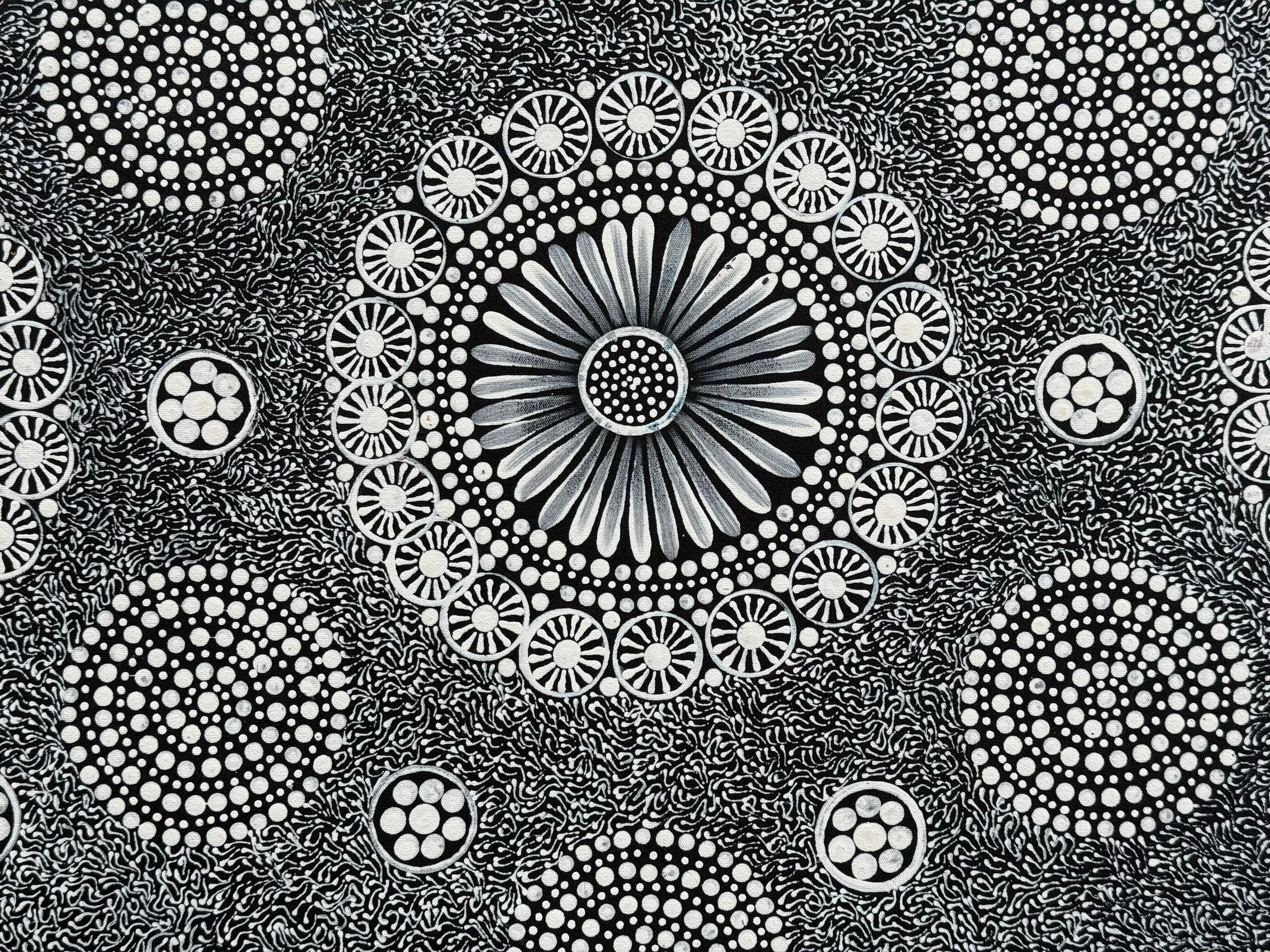 Maryanne Gibson - Bush Seeds .73-6