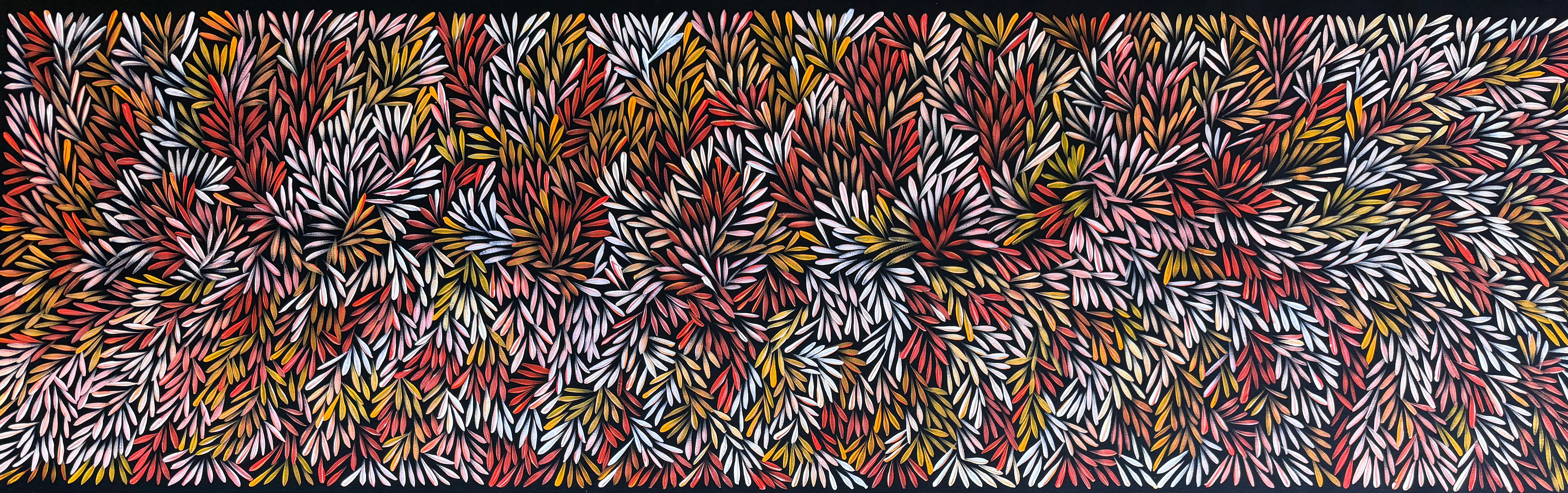 Sharon Numina - Bush Medicine Seeds .50-9