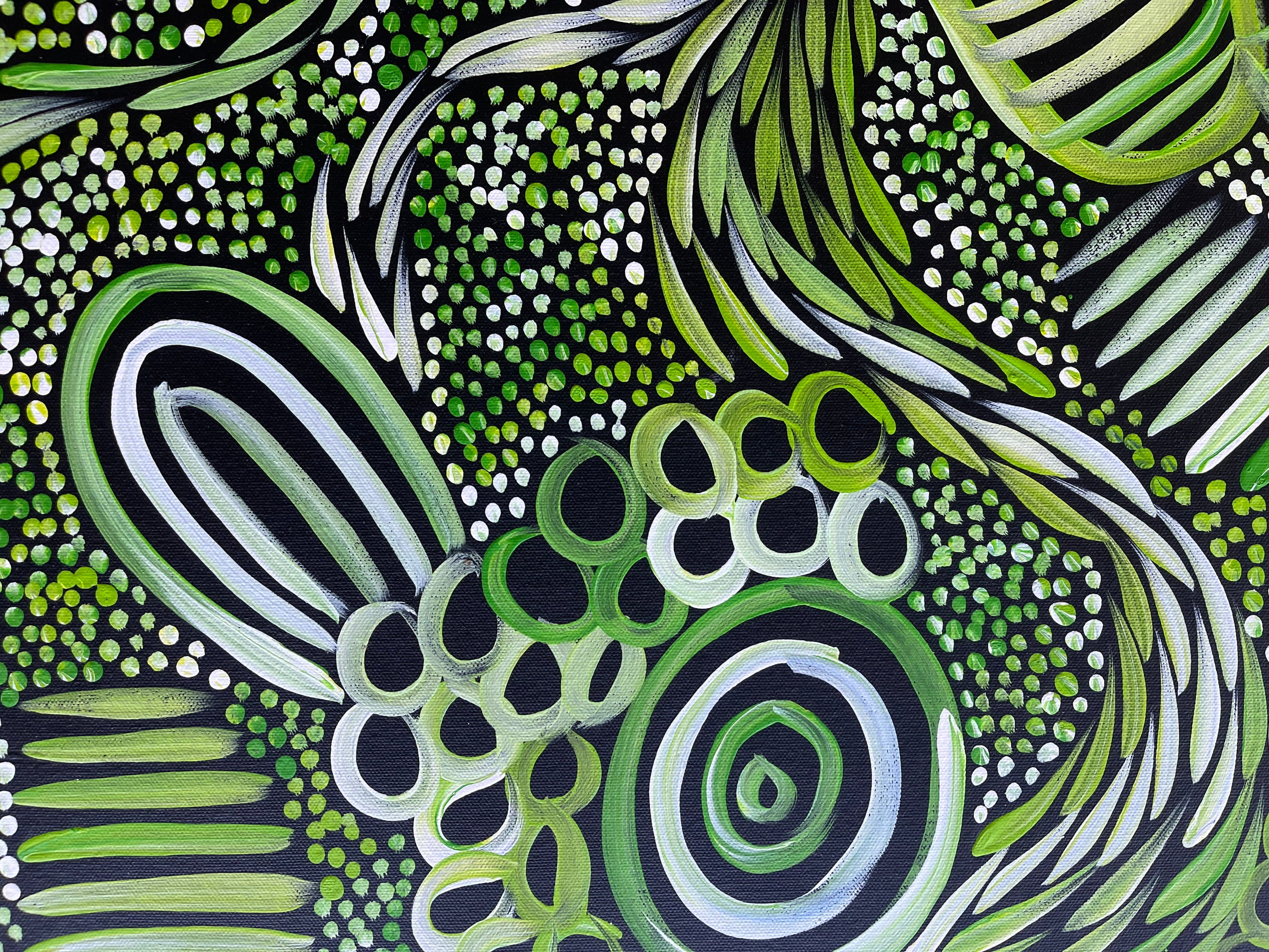 Sharon Numina - My Country Dreaming Bush Medicine and Bush Melon - 147x91cm .80-1