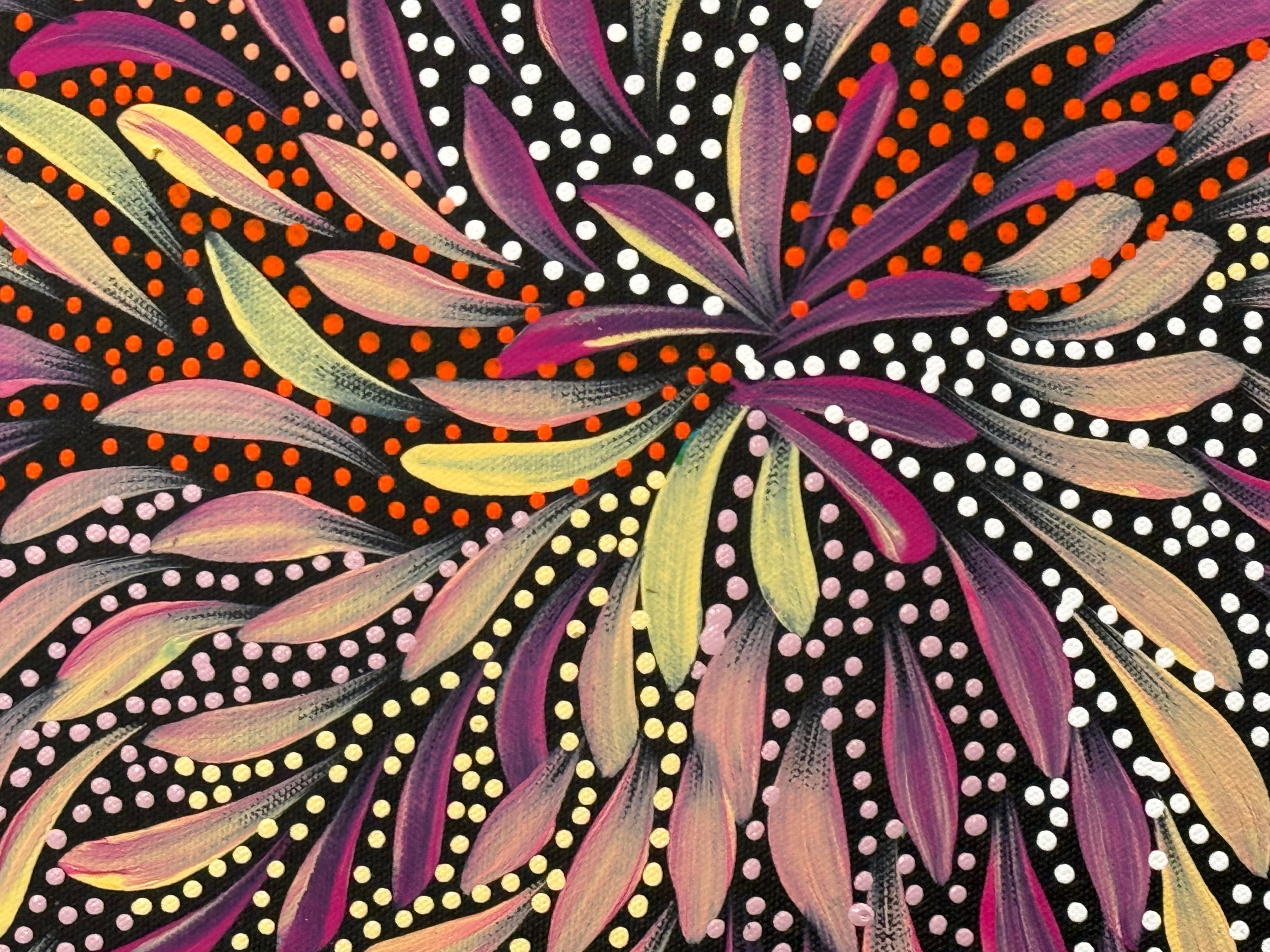 Caroline Numina - Bush Medicine Leaves and Seeds .04-15
