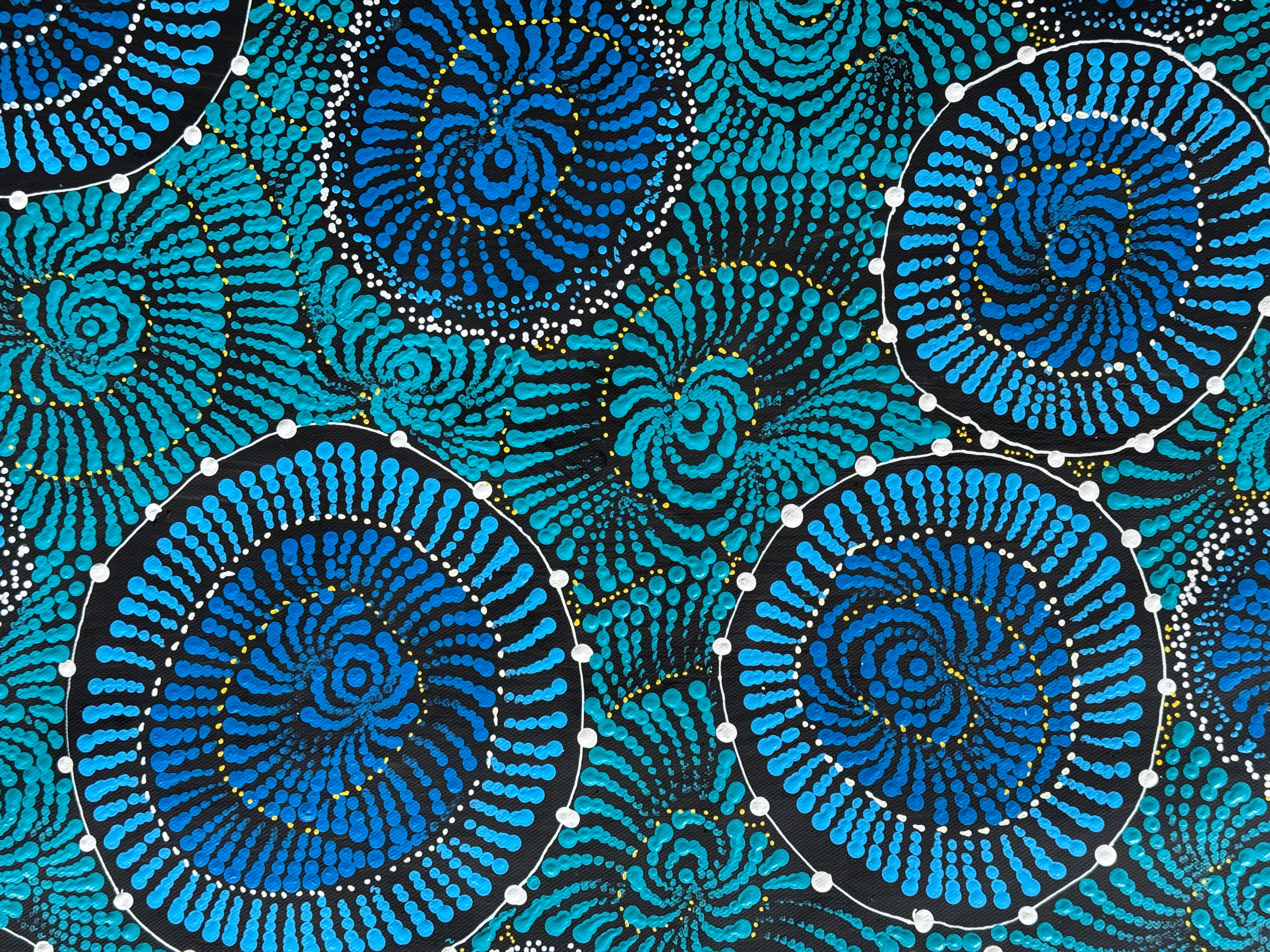Maria Nampijinpa Brown - Flying Ants Dreaming (Pamapardu Jukurrpa) .78-5