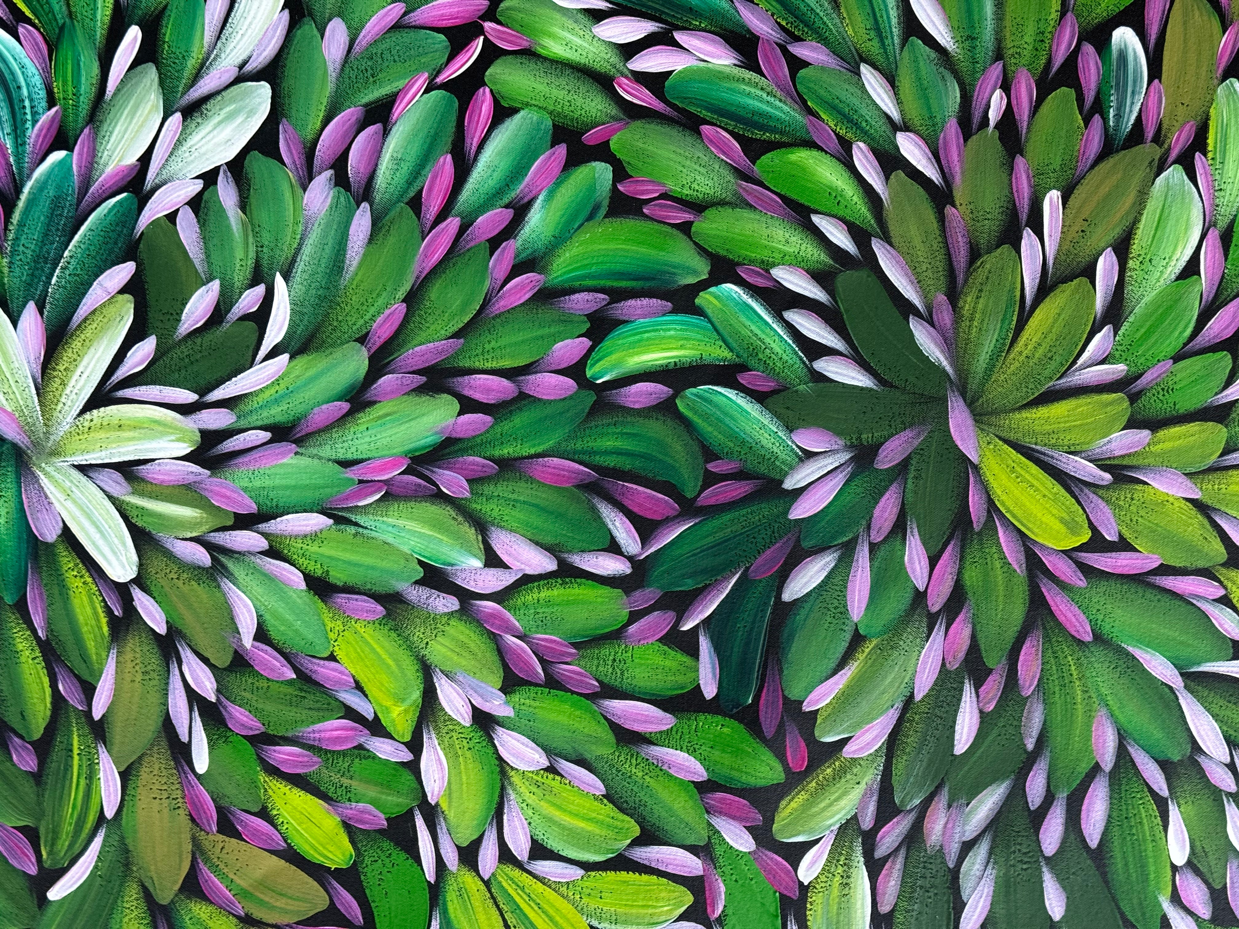 Louise Numina Napananka - Bush Medicine Leaves .16-32