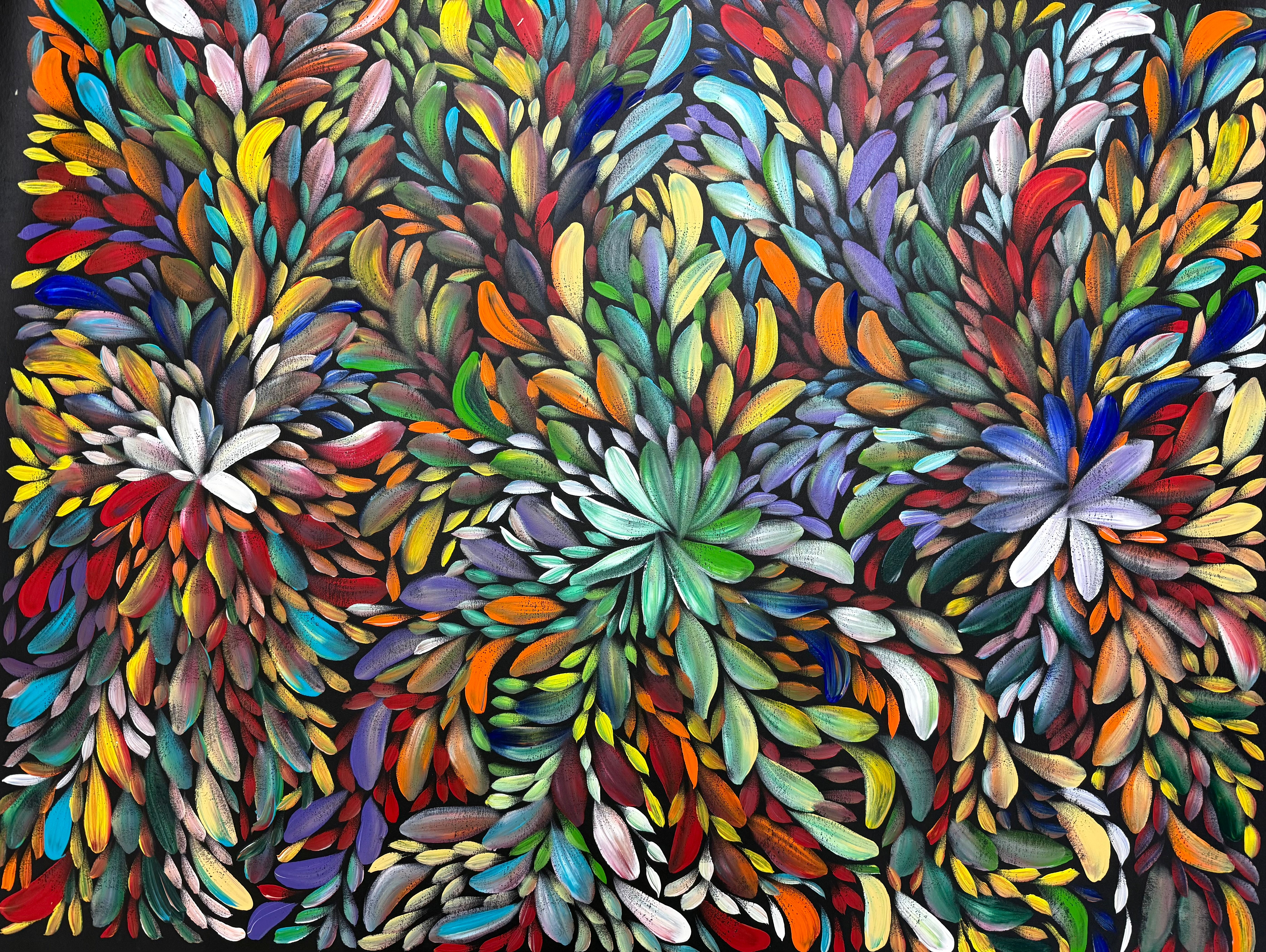 Louise Numina Napananka - Bush Medicine Leaves .26-20