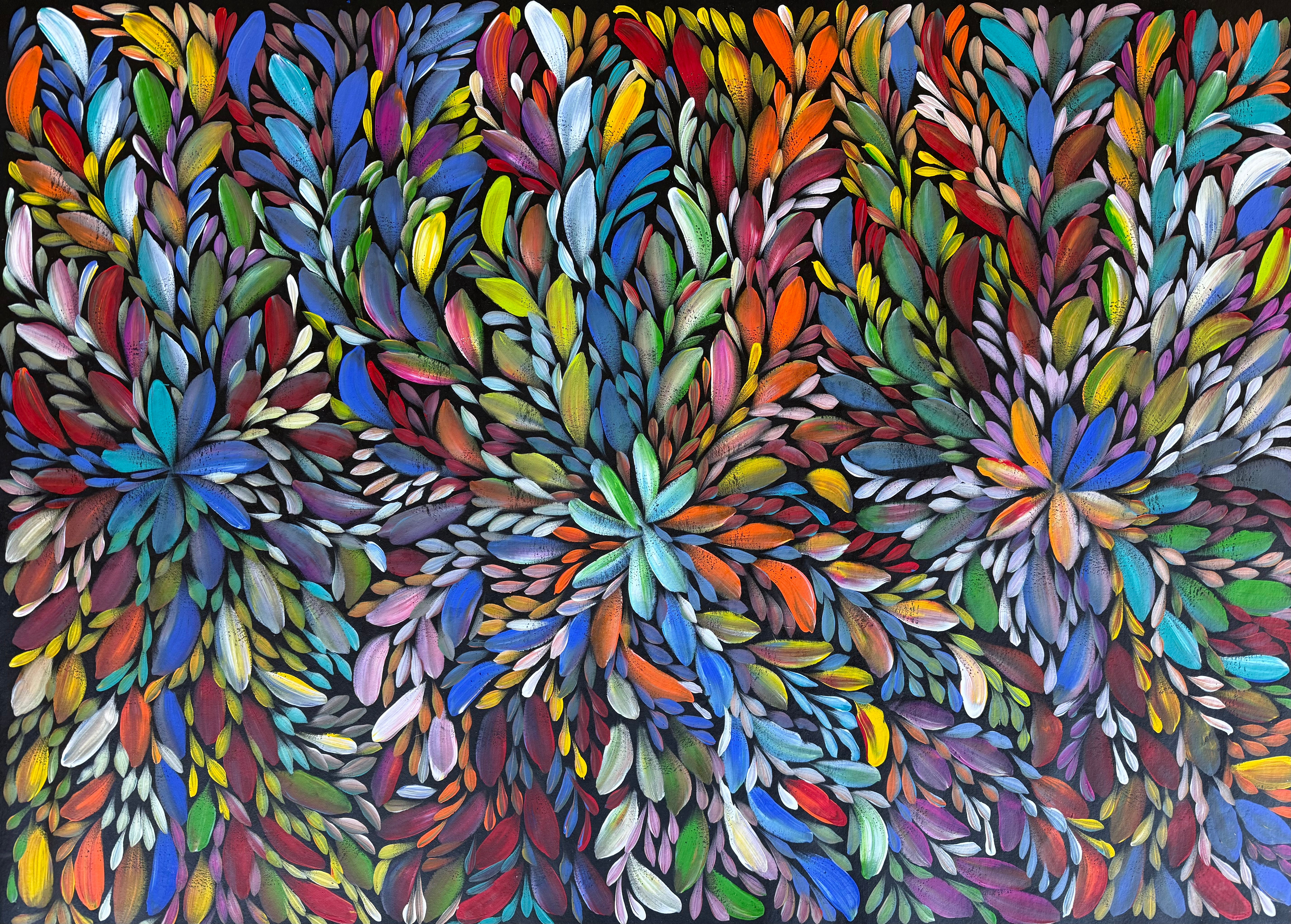 Louise Numina Napananka - Bush Medicine Leaves .09-23