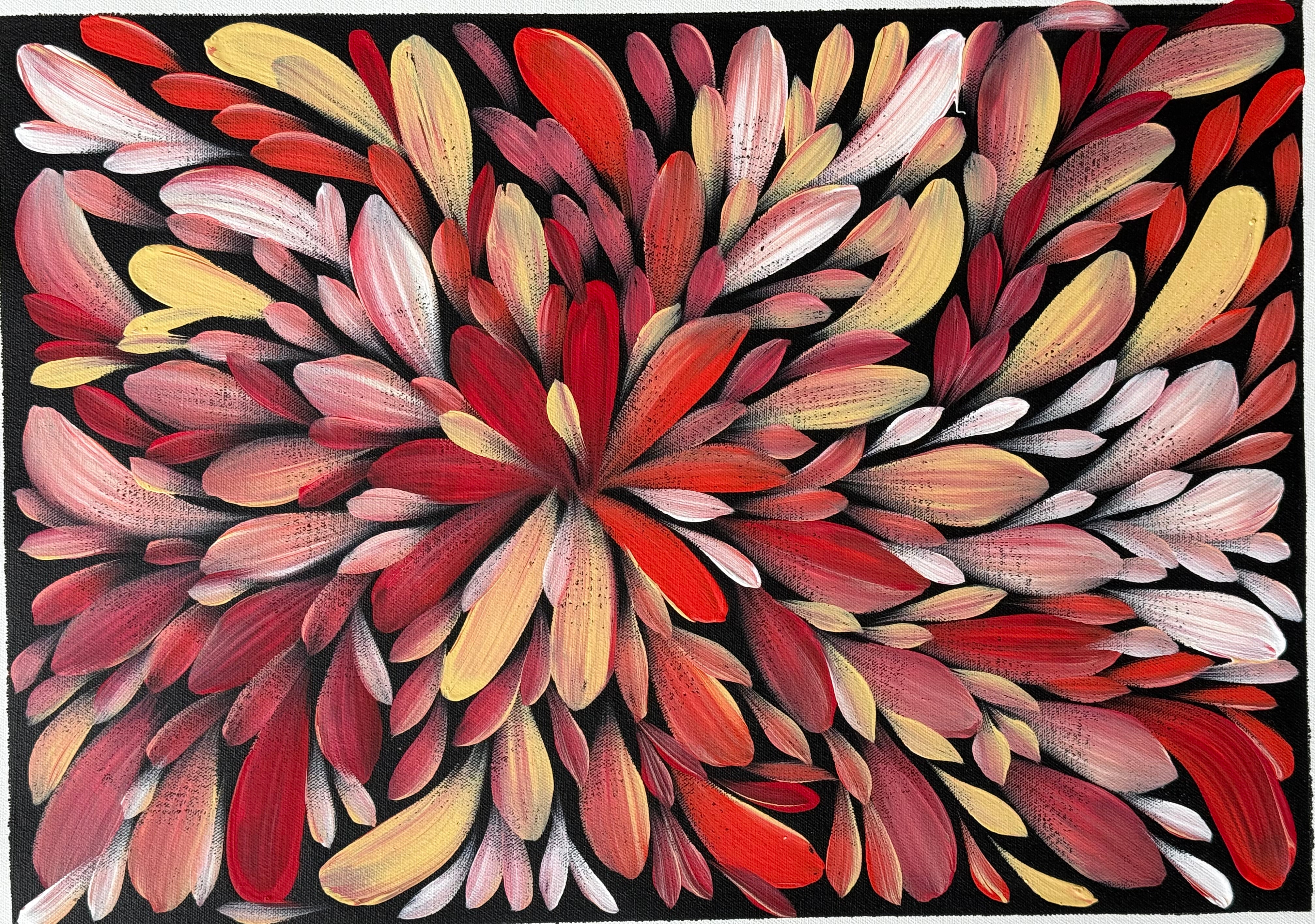 Louise Numina Napananka - Bush Medicine Leaves .57-24