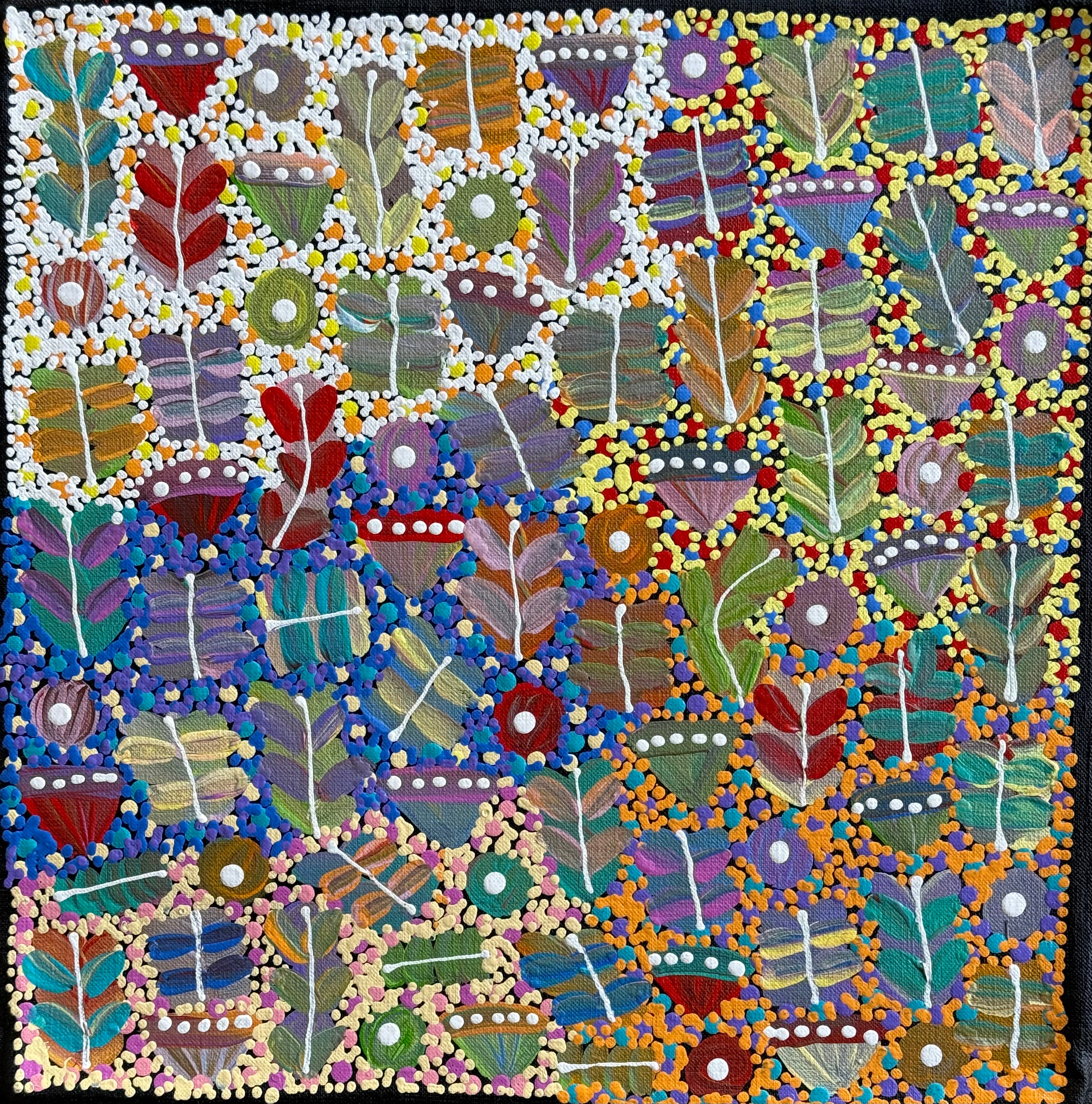 Joycie Morton Petyarre - Bush Medicine .165