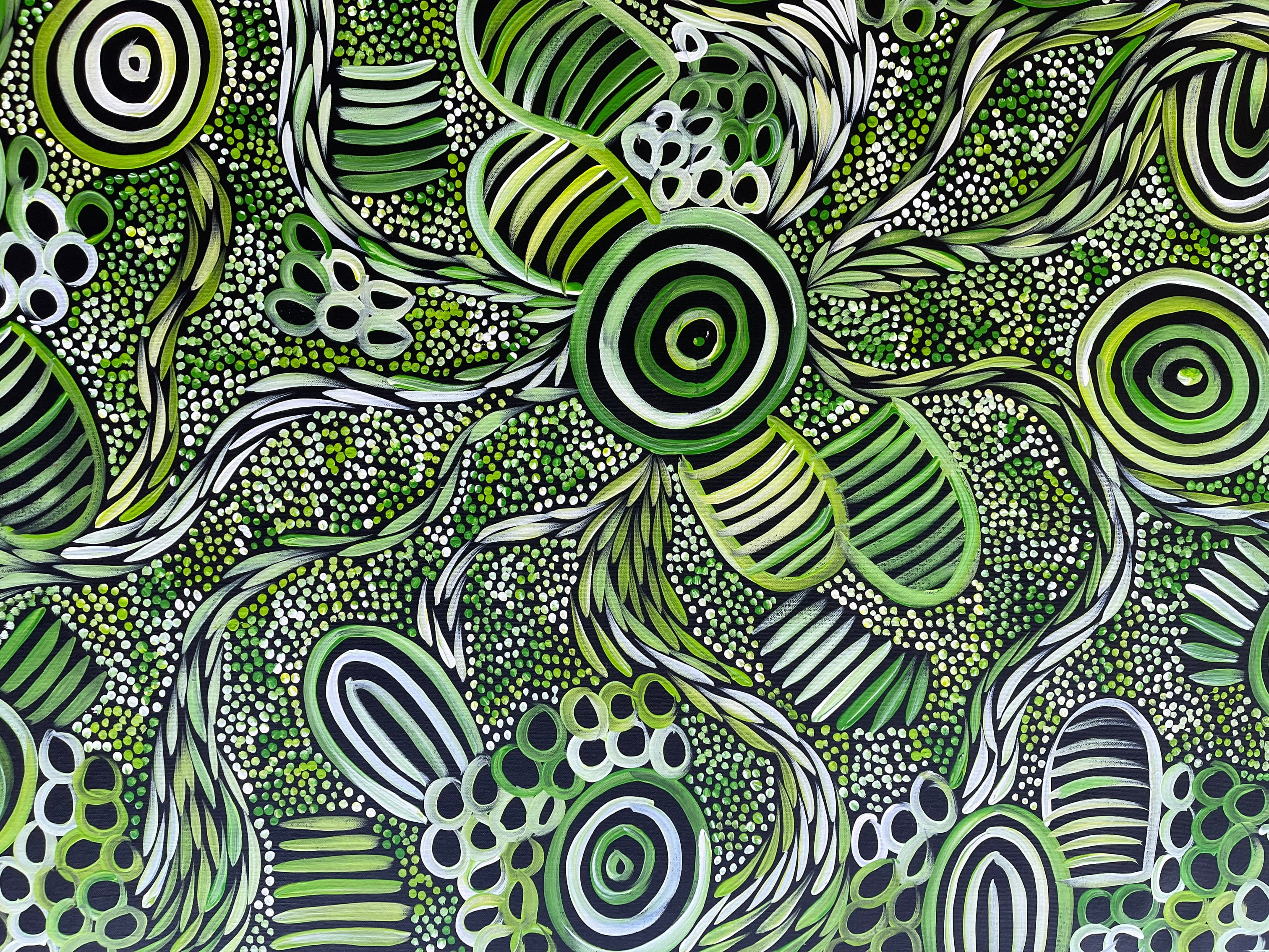 Sharon Numina - My Country Dreaming Bush Medicine and Bush Melon - 147x91cm .80-1