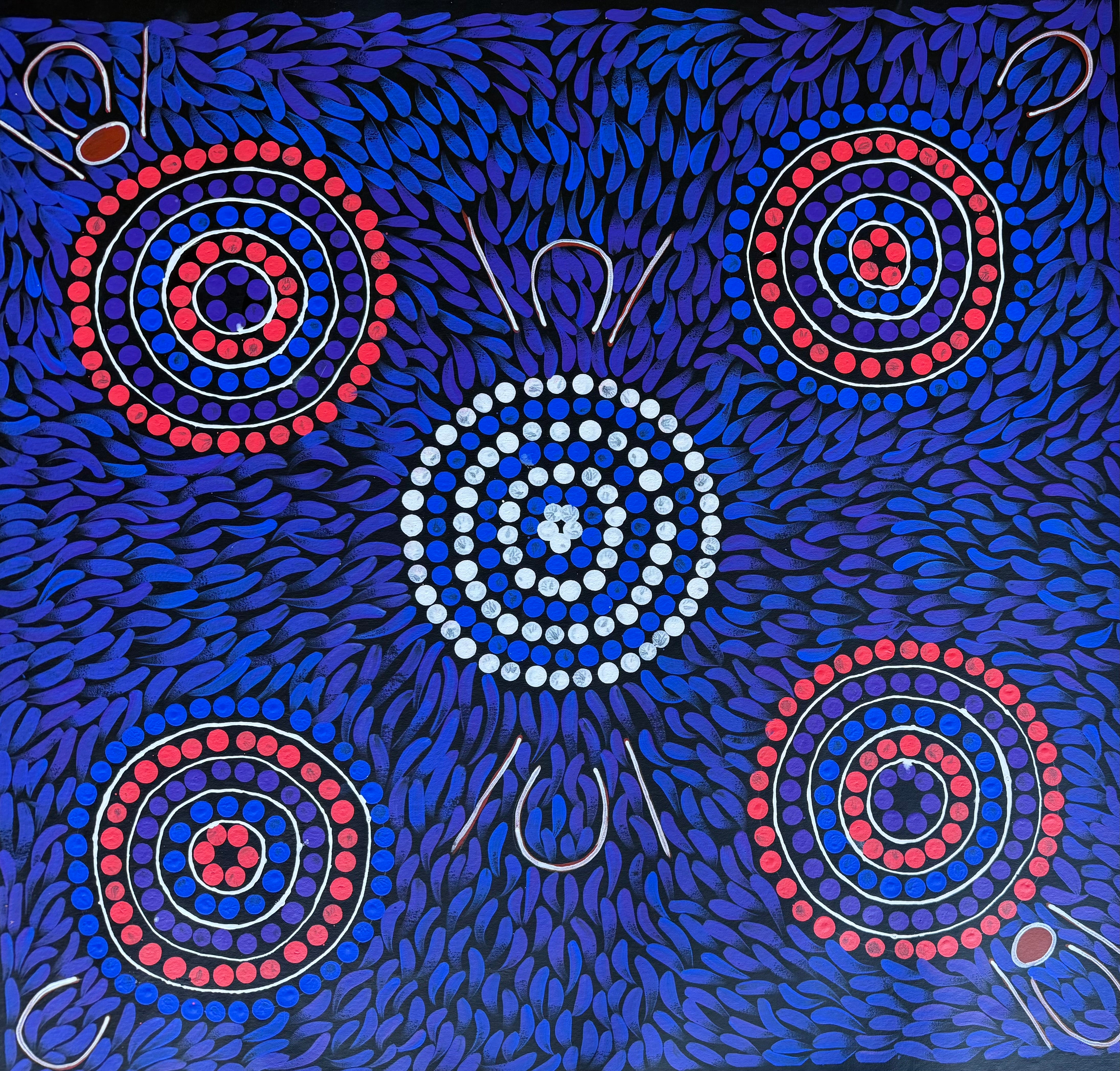 Sabina Gorey - Bush Medicine Leaves .04-7