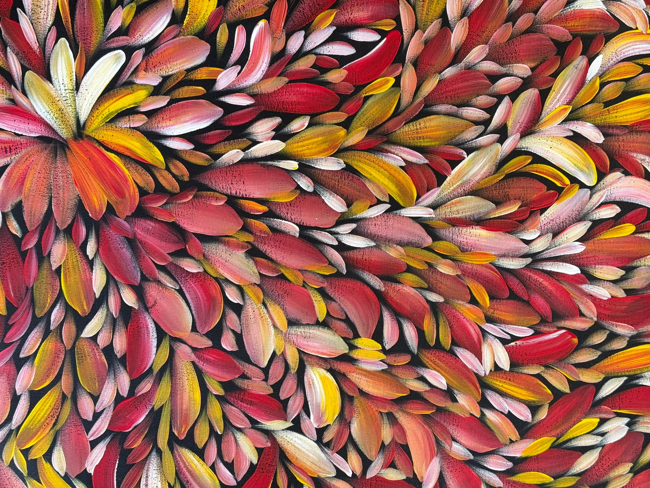 Louise Numina Napananka - Bush Medicine Leaves - 121x93cm .00-13