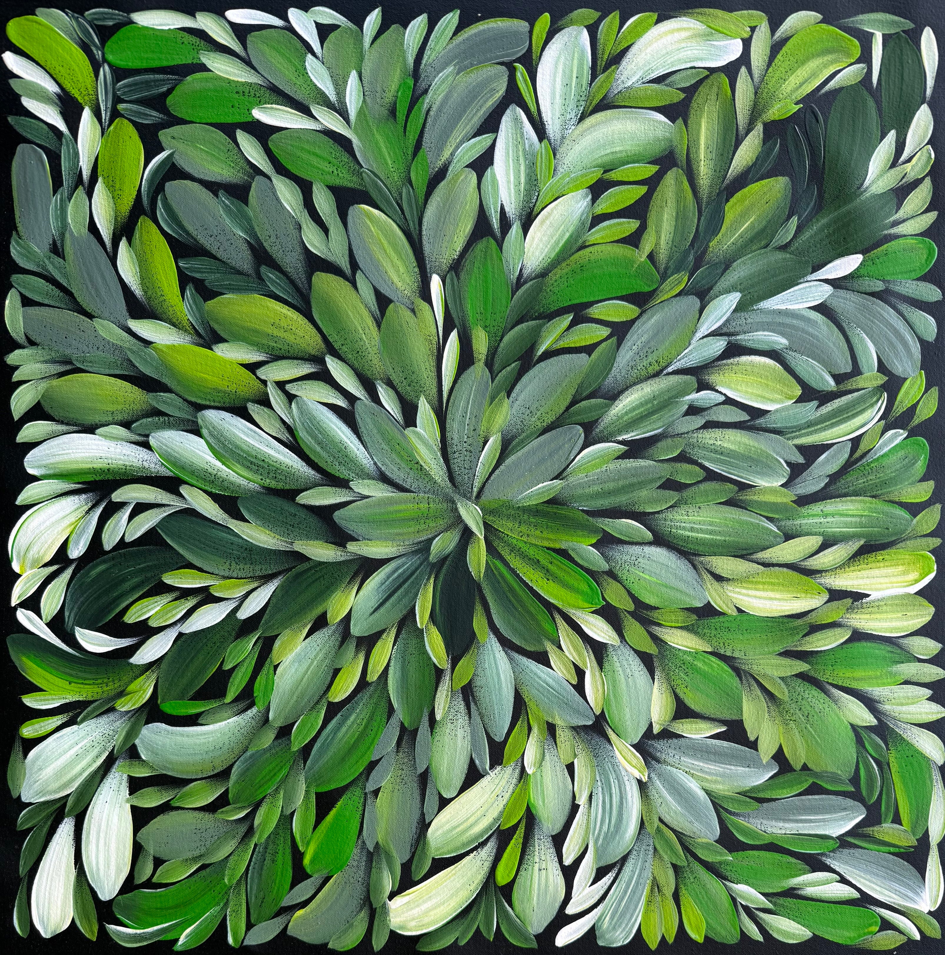 Louise Numina Napananka - Bush Medicine Leaves - 61x61cm .18-10