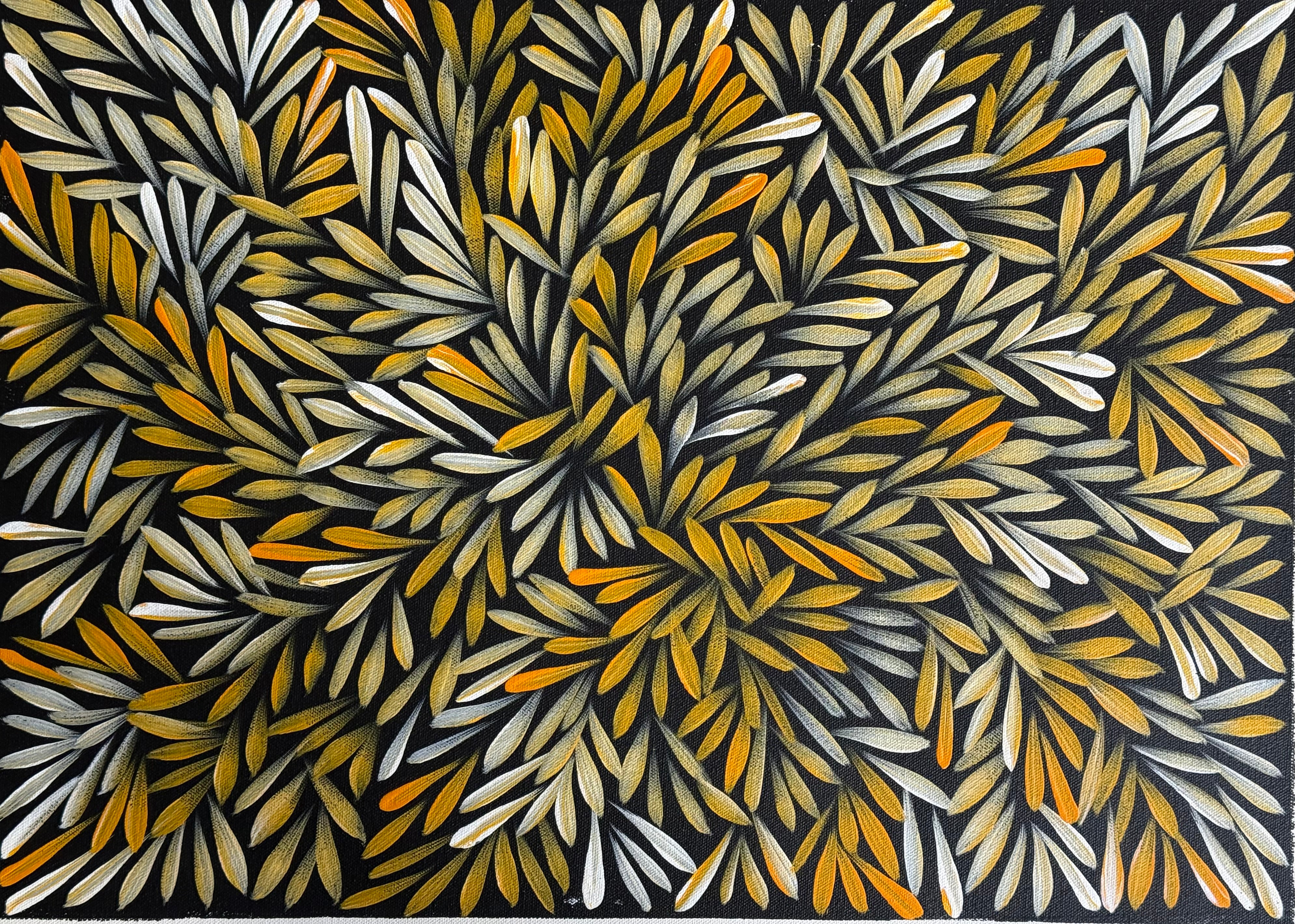 Sharon Numina - Bush Medicine Leaves .14-50